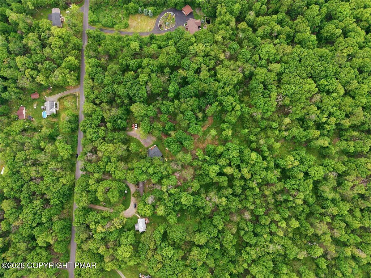 1208 Little Billy Lane Property Photo 68