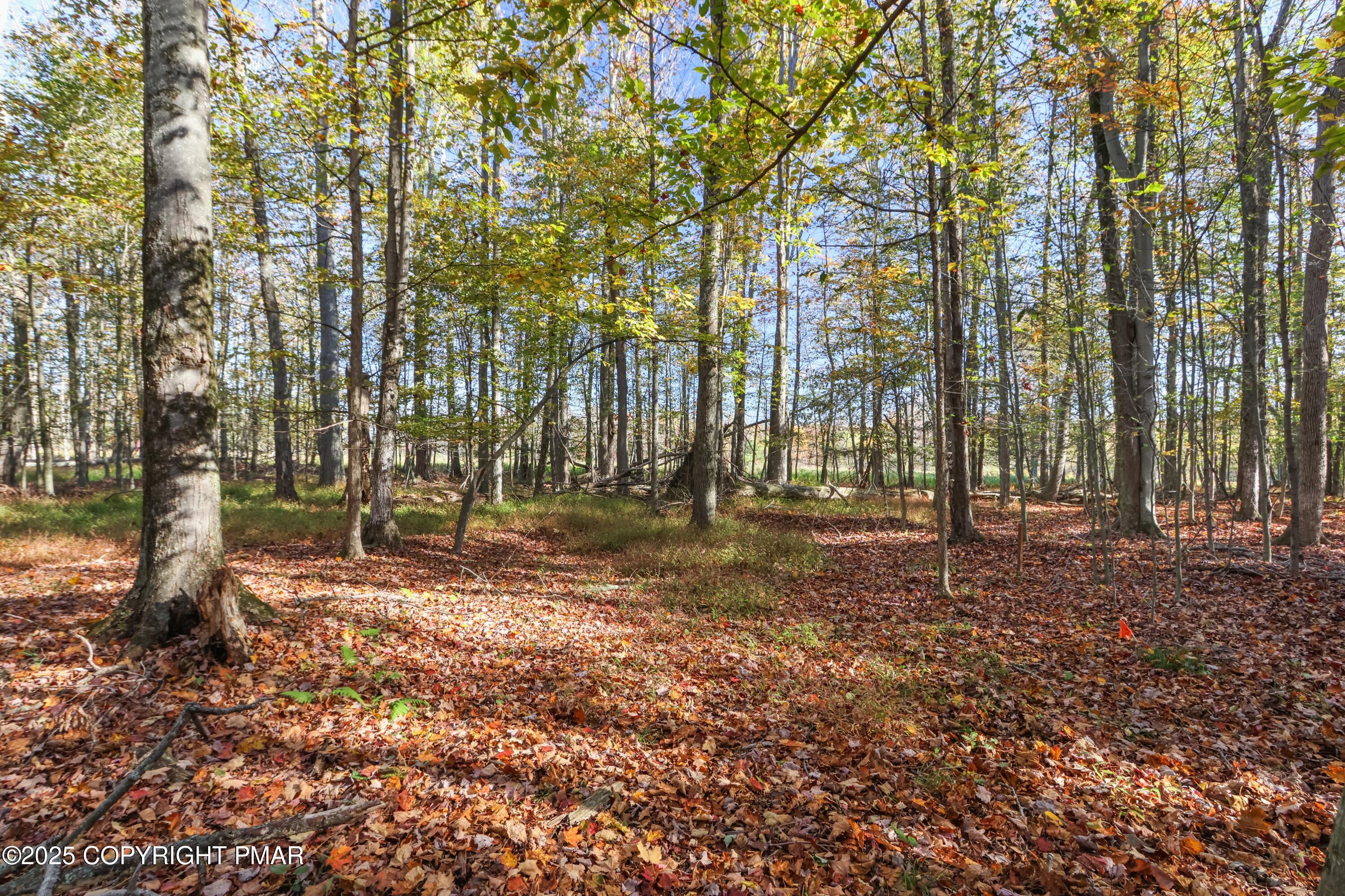 Cygnus Road Property Photo 1