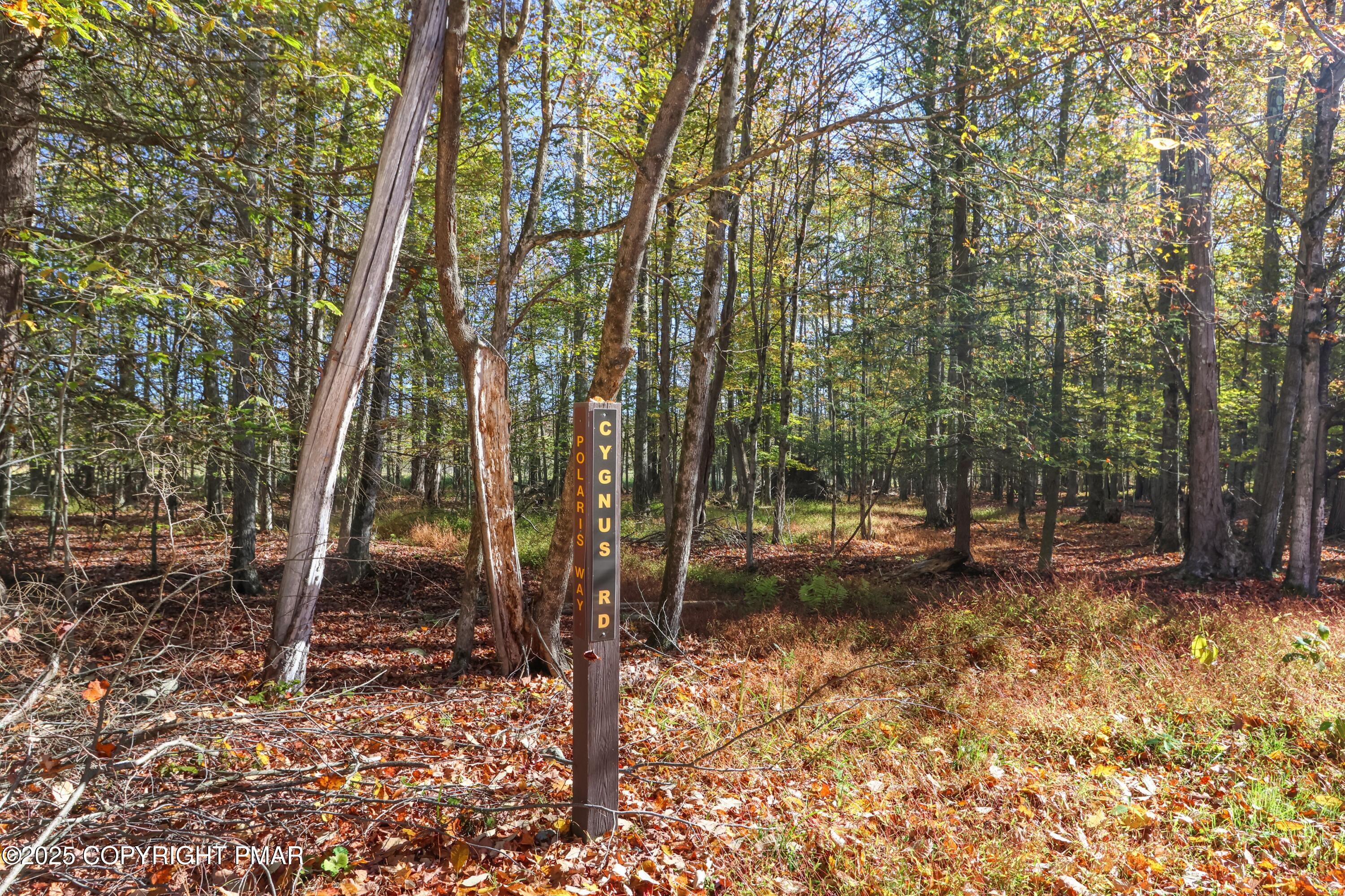 Cygnus Road Property Photo 2