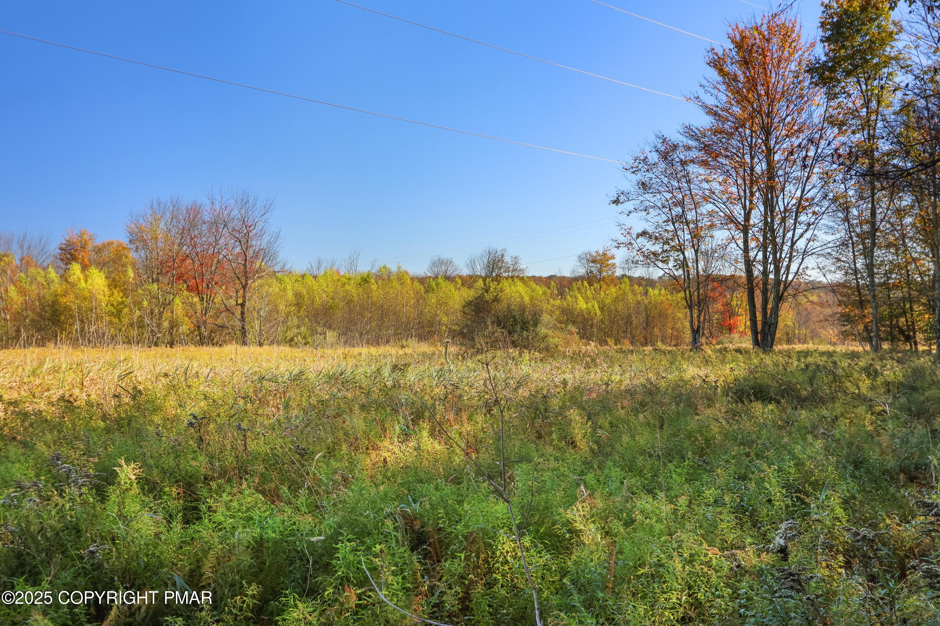 Cygnus Road Property Photo 3