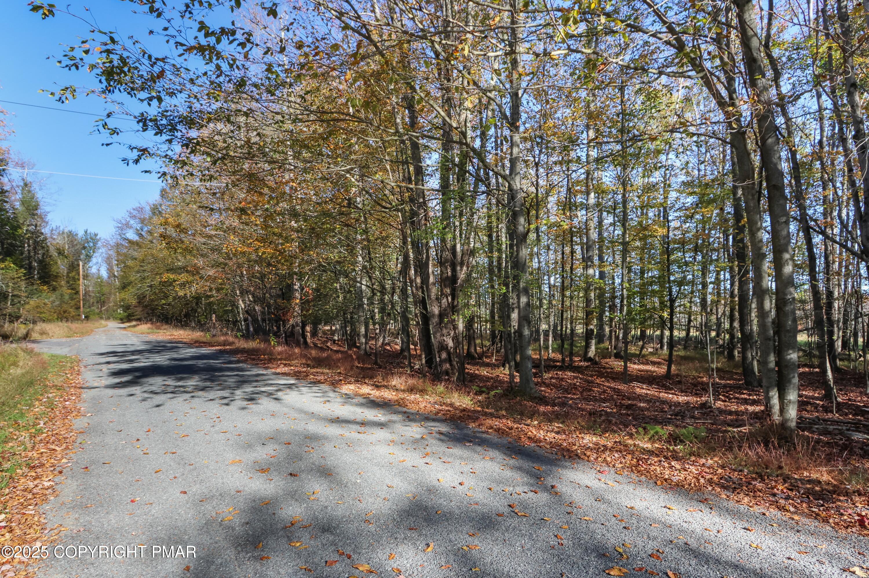 Cygnus Road Property Photo 4