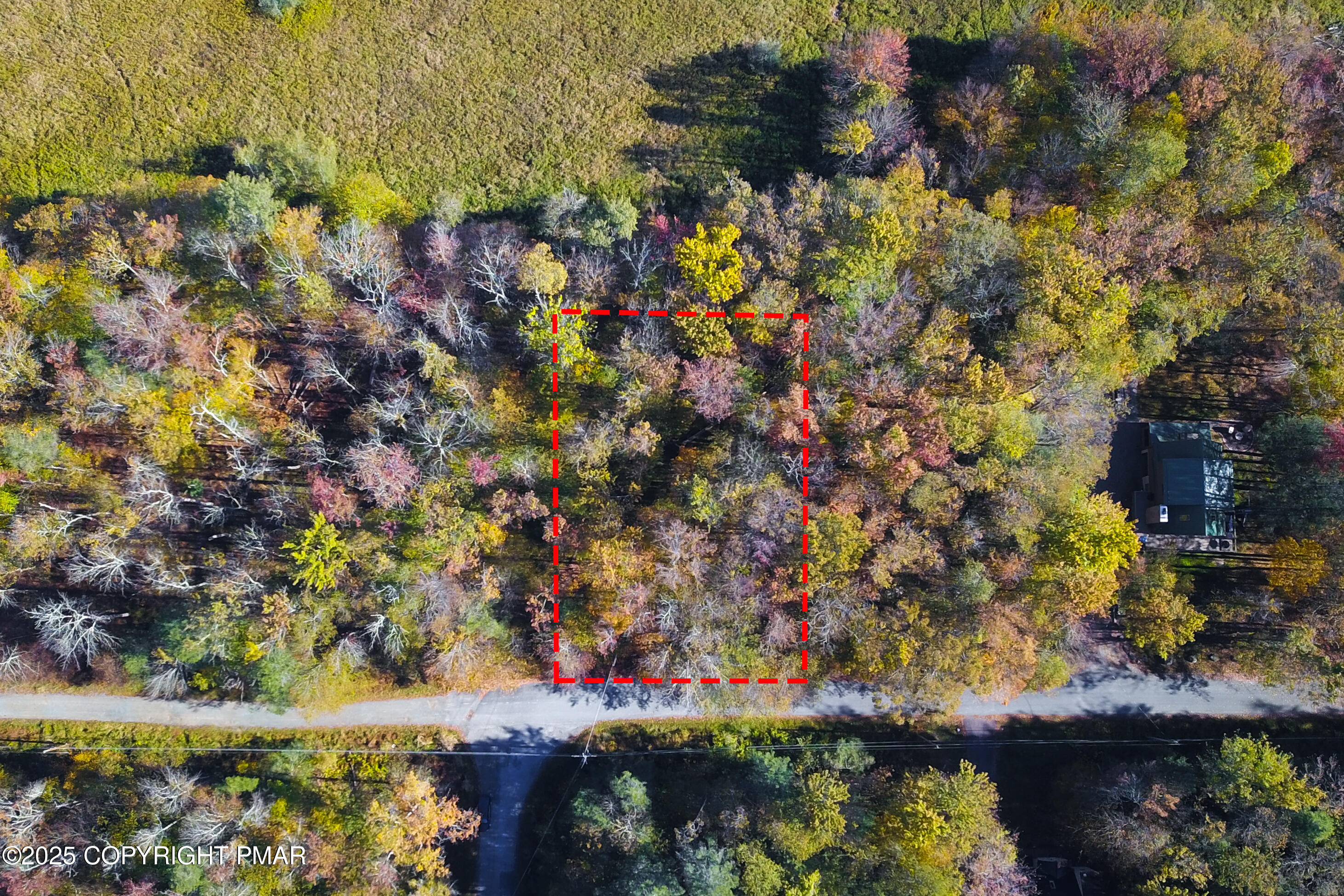 Cygnus Road Property Photo 5