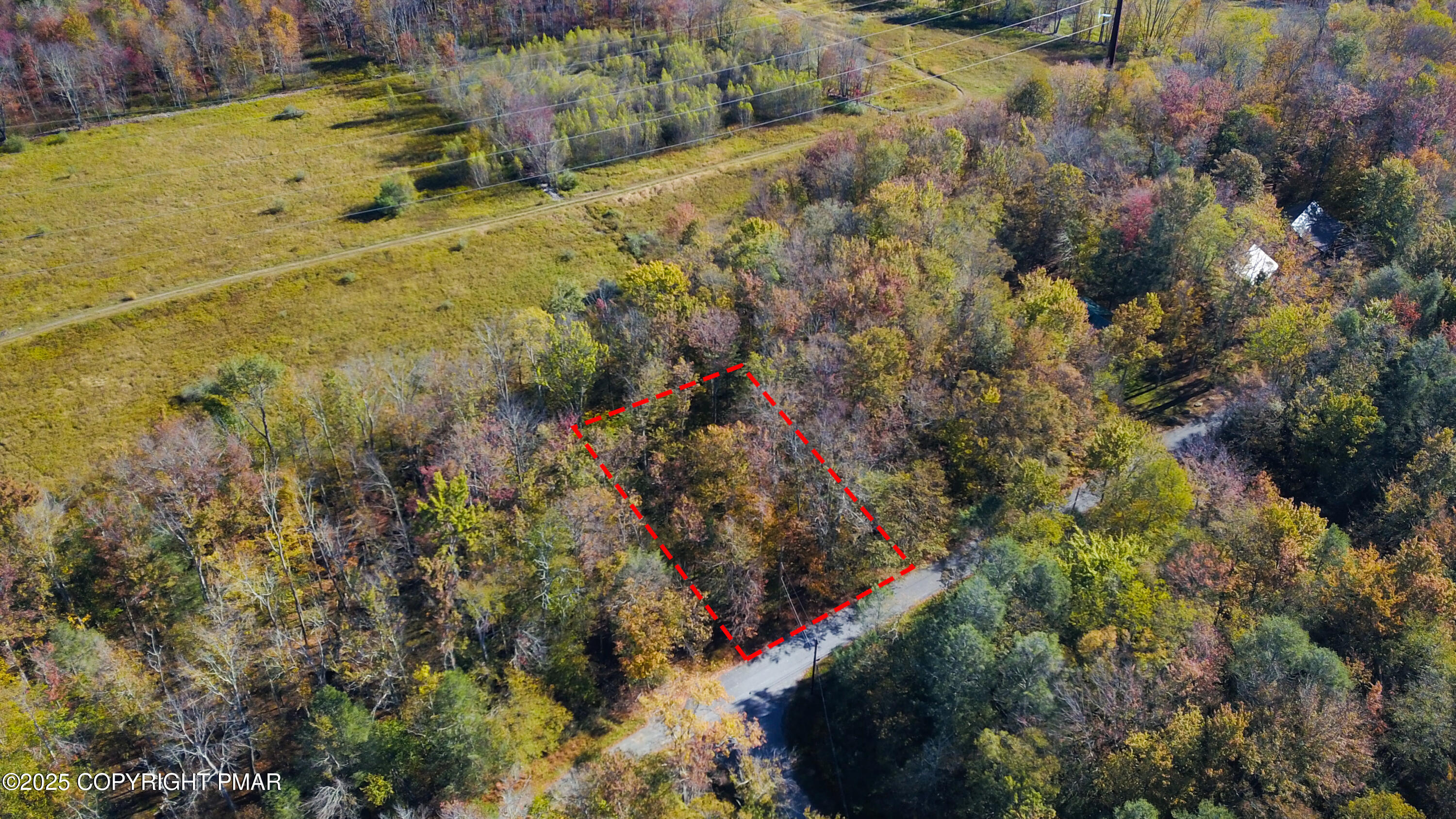 Cygnus Road Property Photo 6