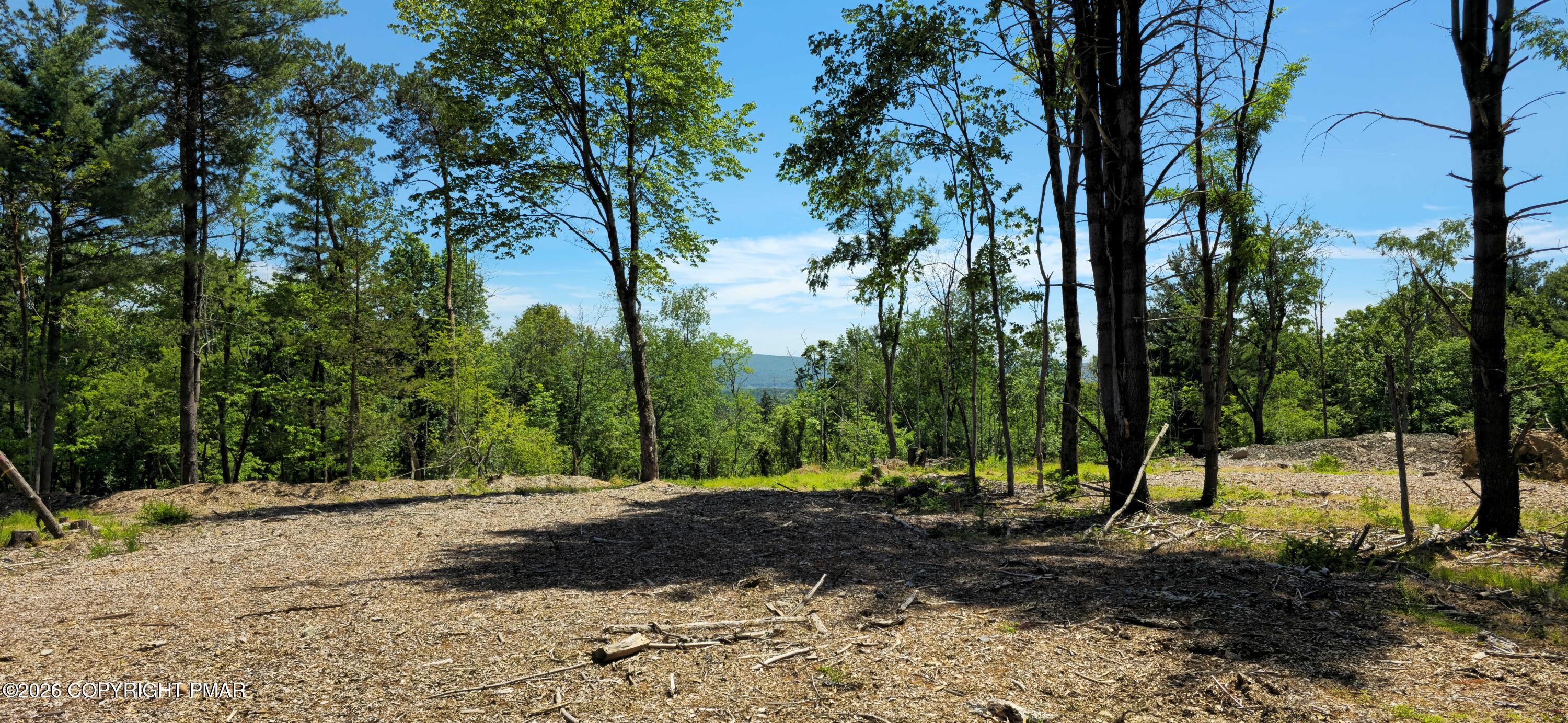 Lot 10 Sawmill Rd Property Photo 4