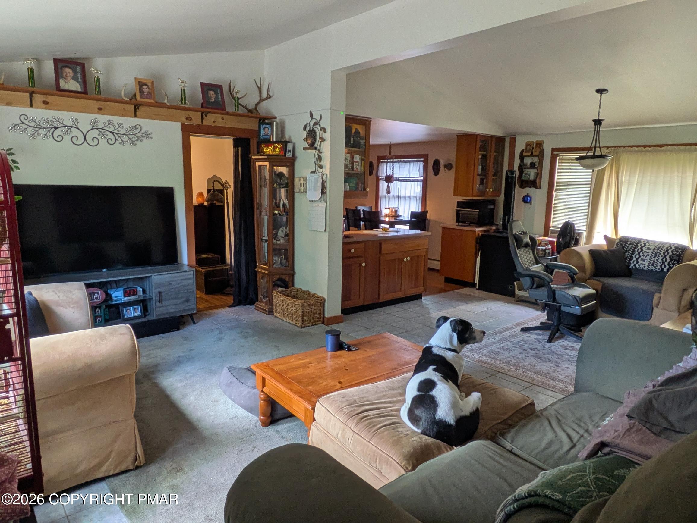 926 Route 390 Property Photo 45