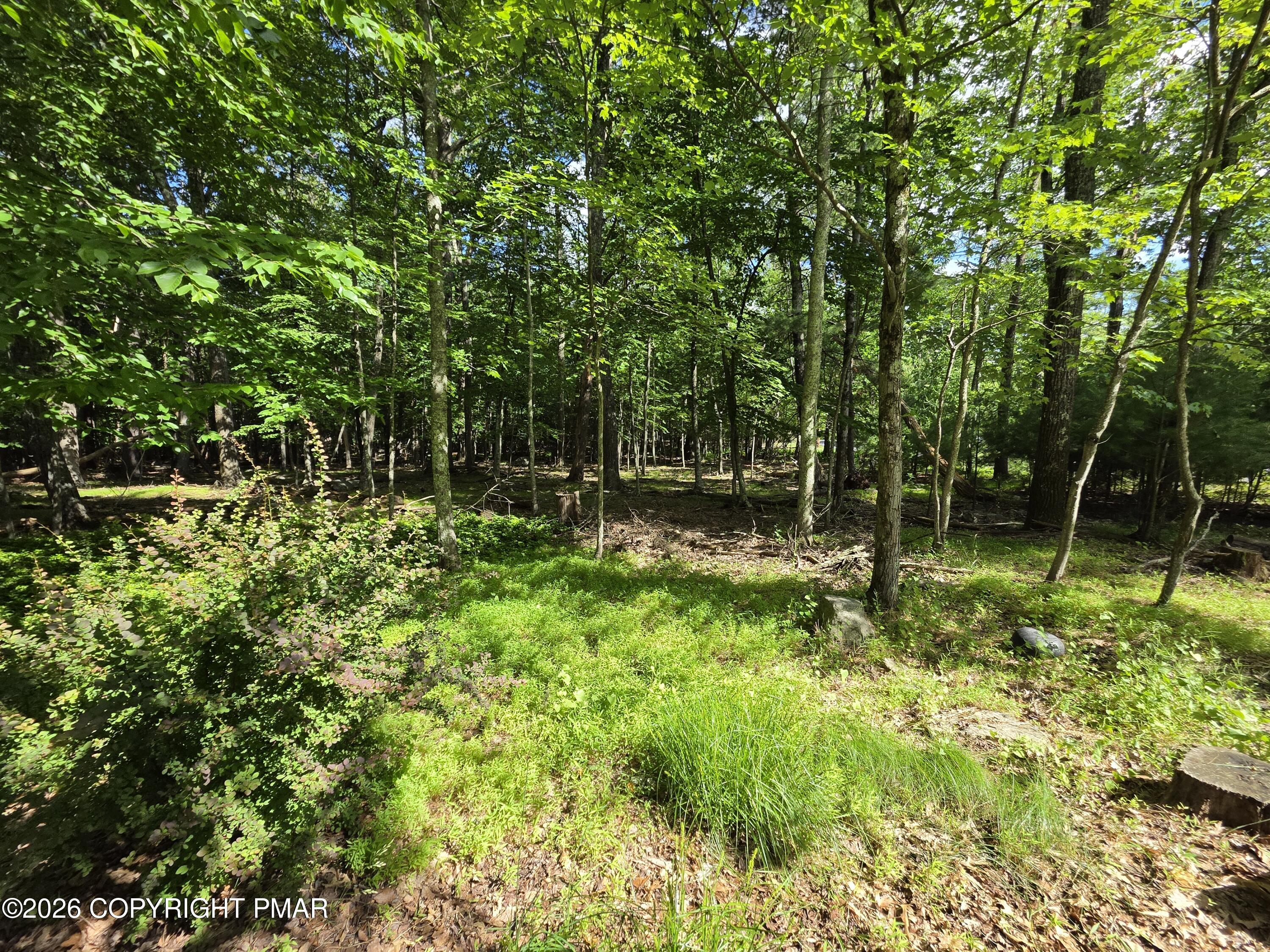 94 Chariton Drive Property Photo 15