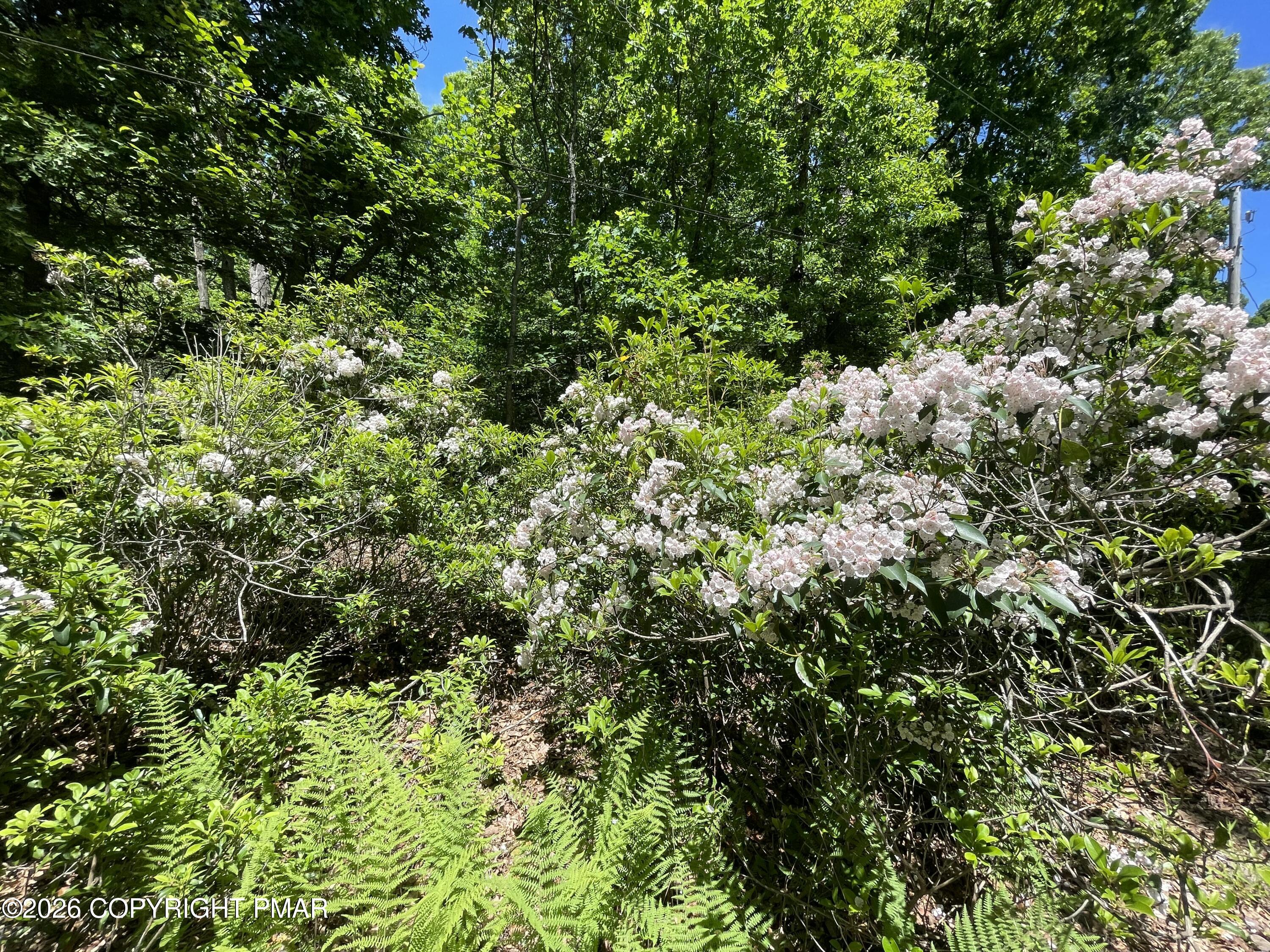 Aspen Ct 808 Court Property Photo 1