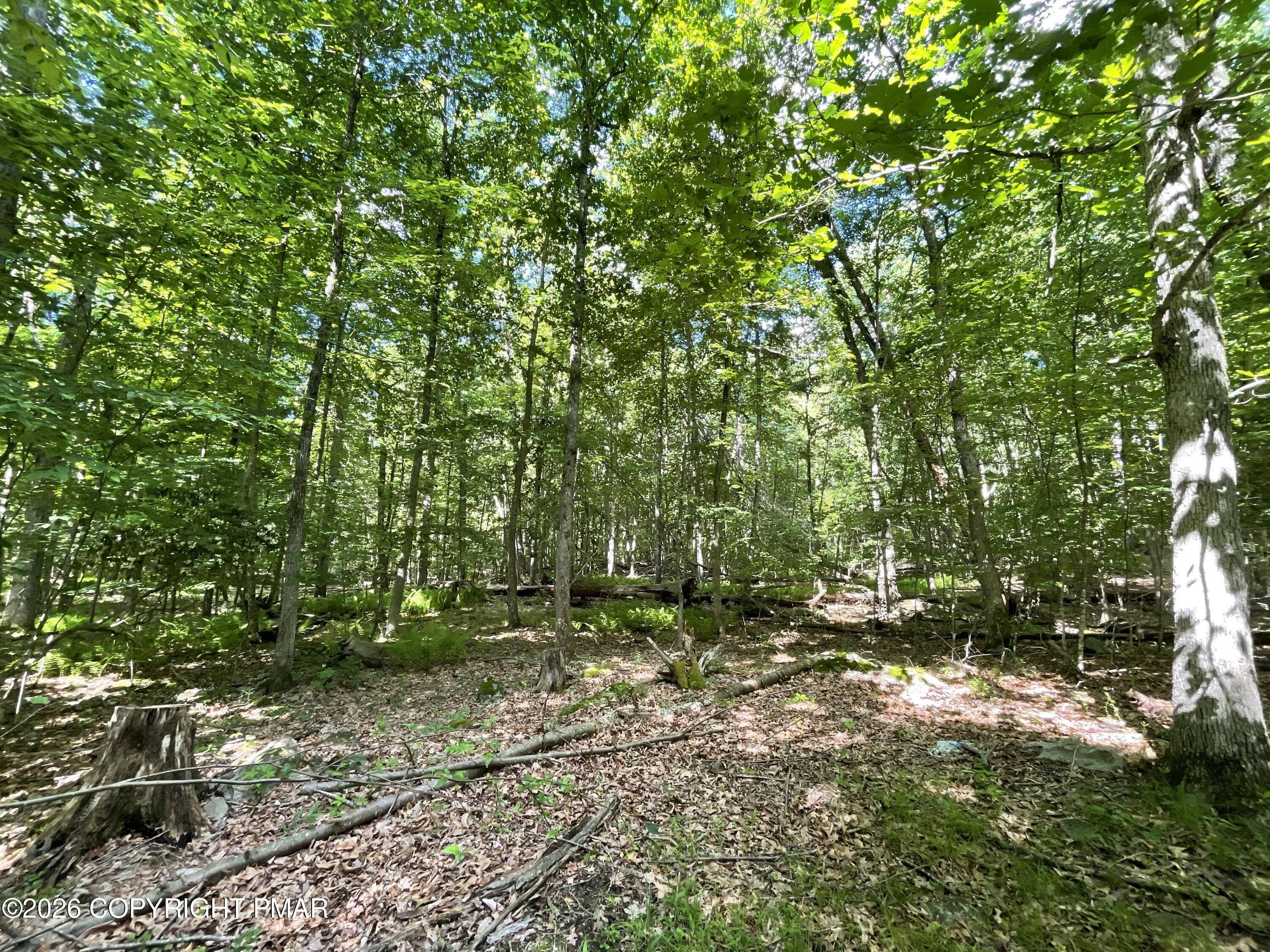 111 Woods Way Property Photo 9