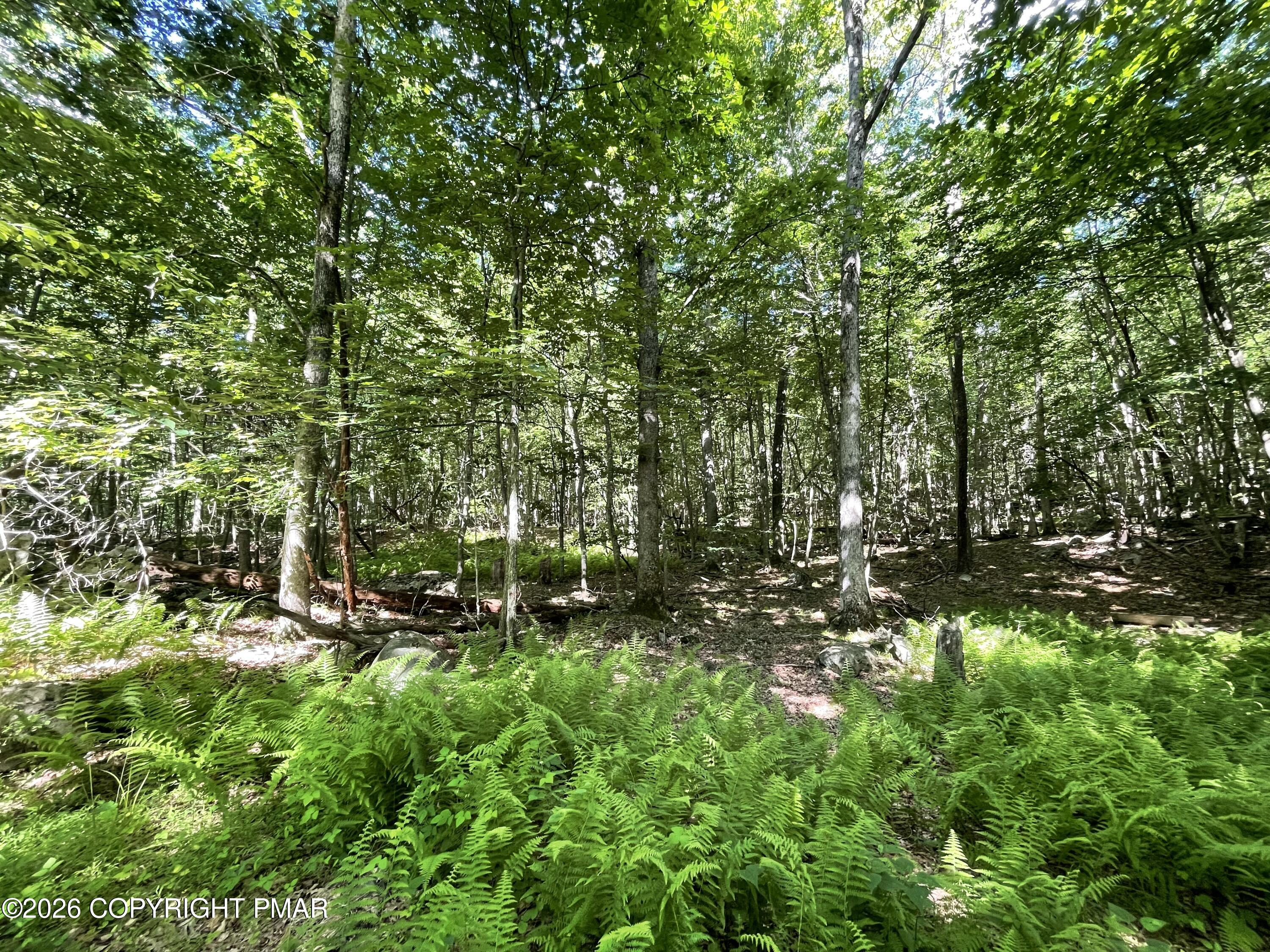 111 Woods Way Property Photo 10