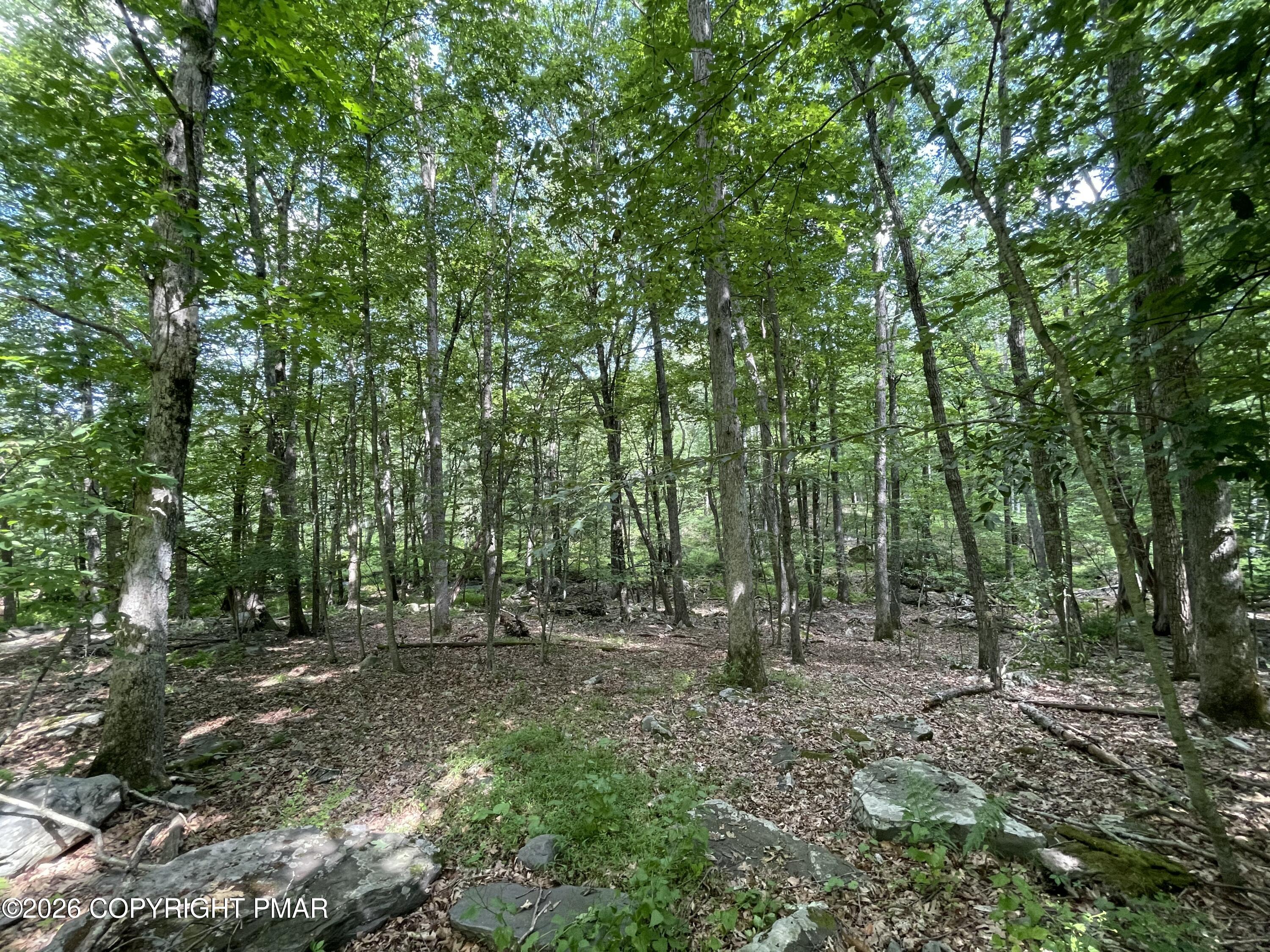 240 Mud Run Road Property Photo 4