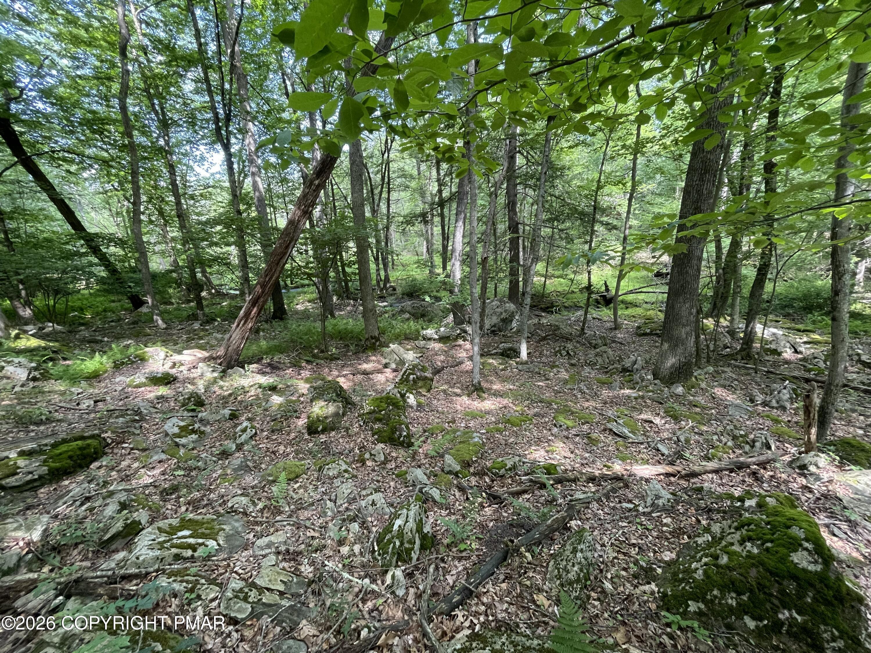 240 Mud Run Road Property Photo 5