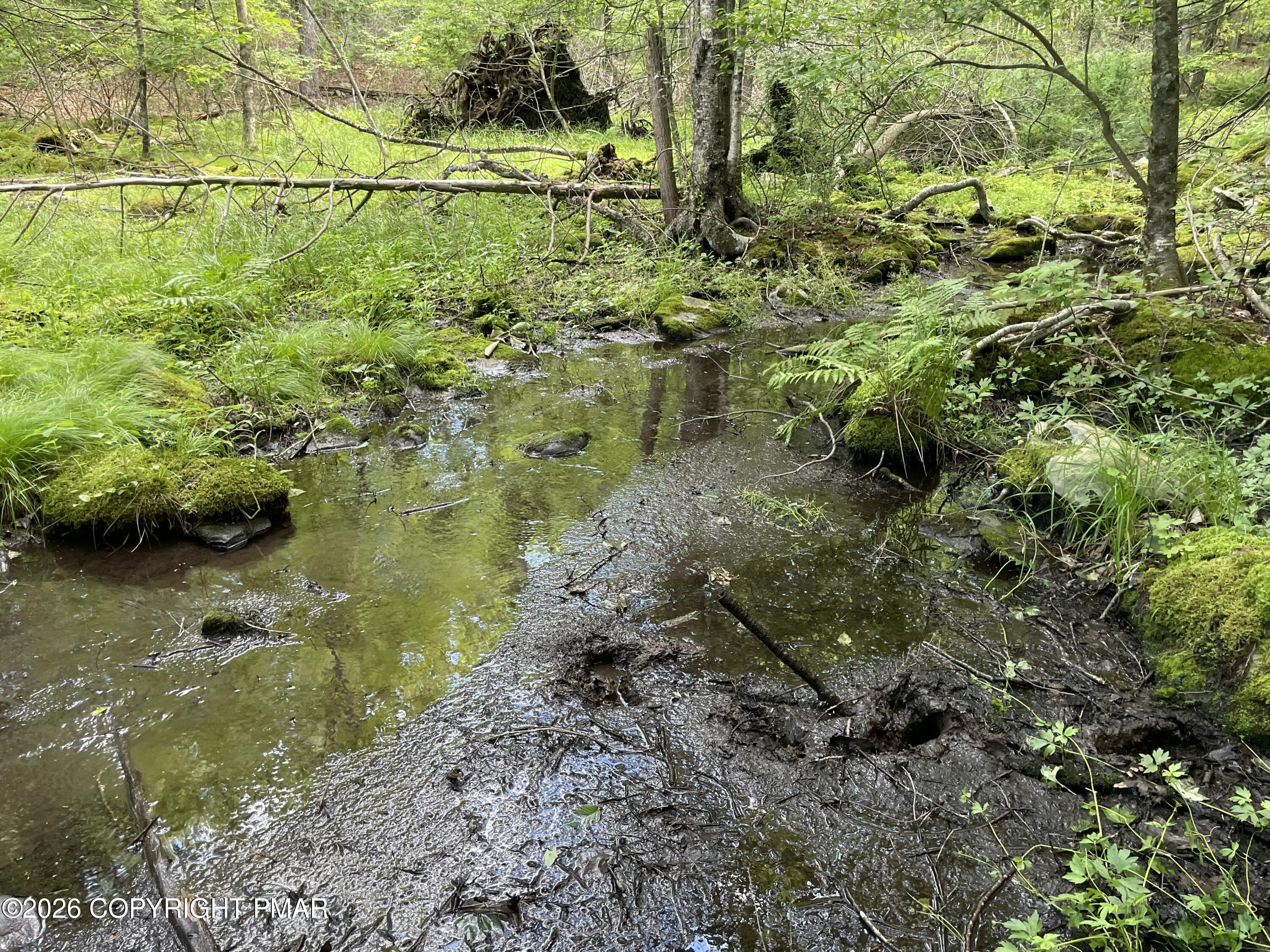 240 Mud Run Road Property Photo 6