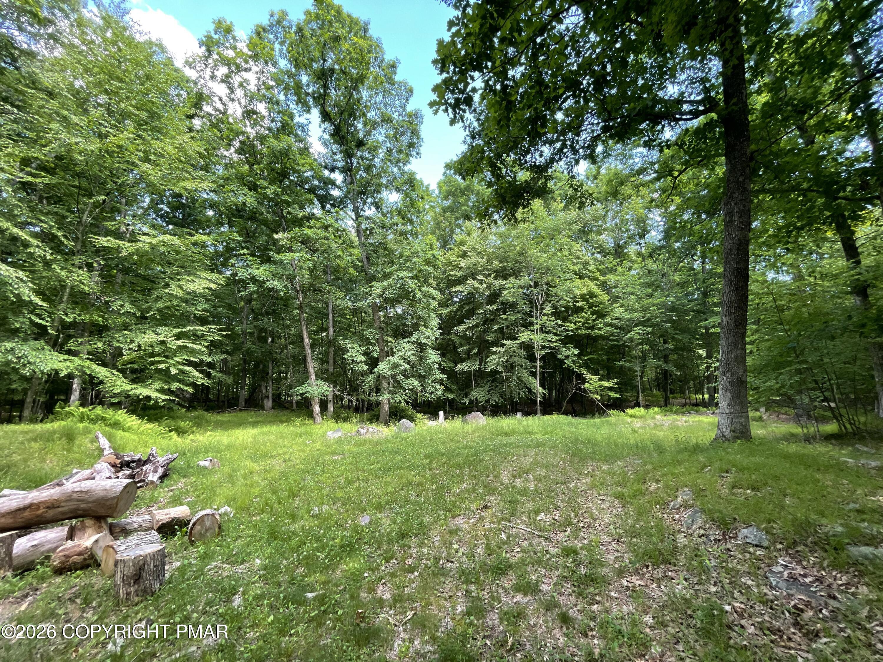 252 Mud Run Road Property Photo 2