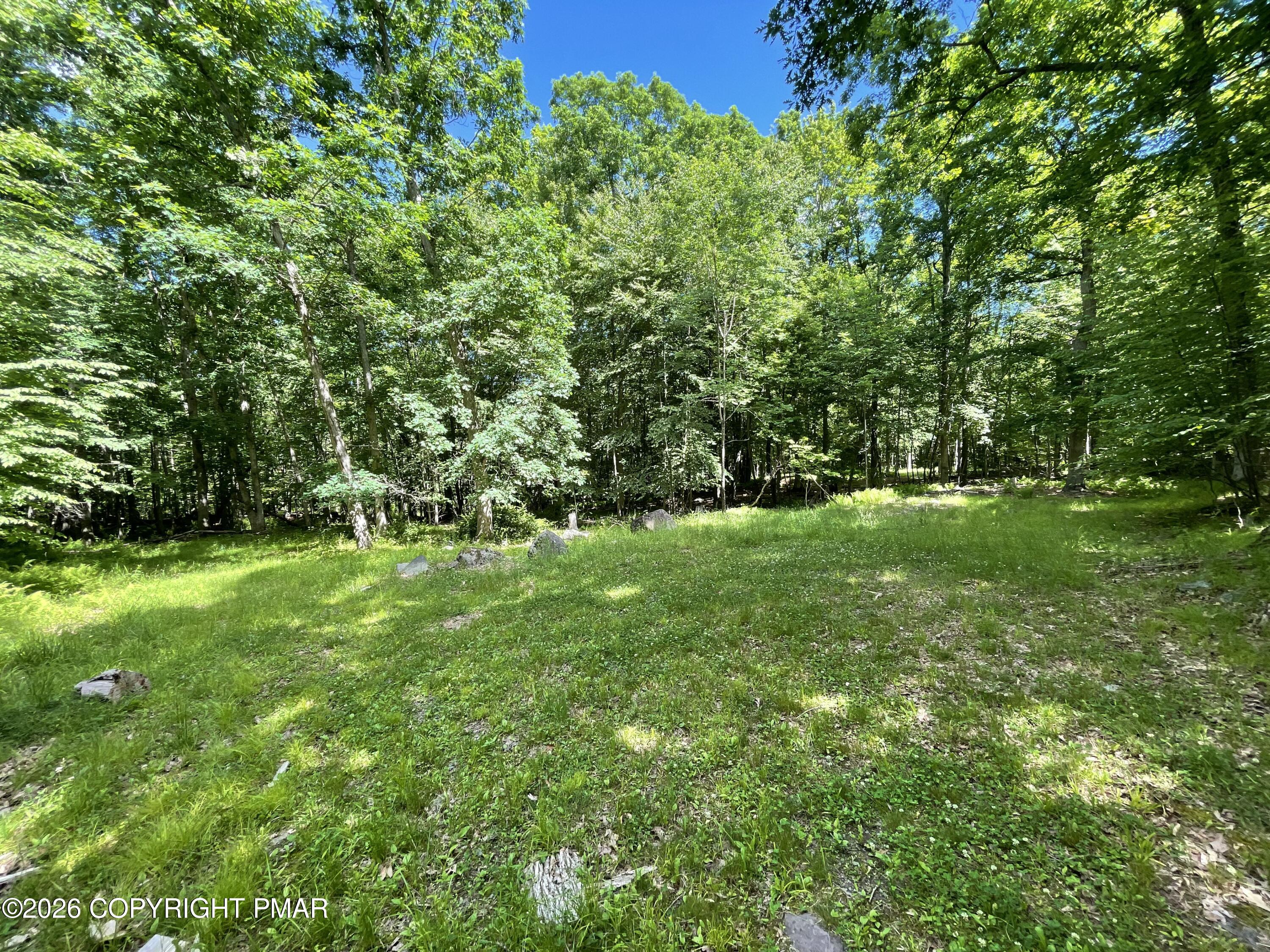 252 Mud Run Road Property Photo 3