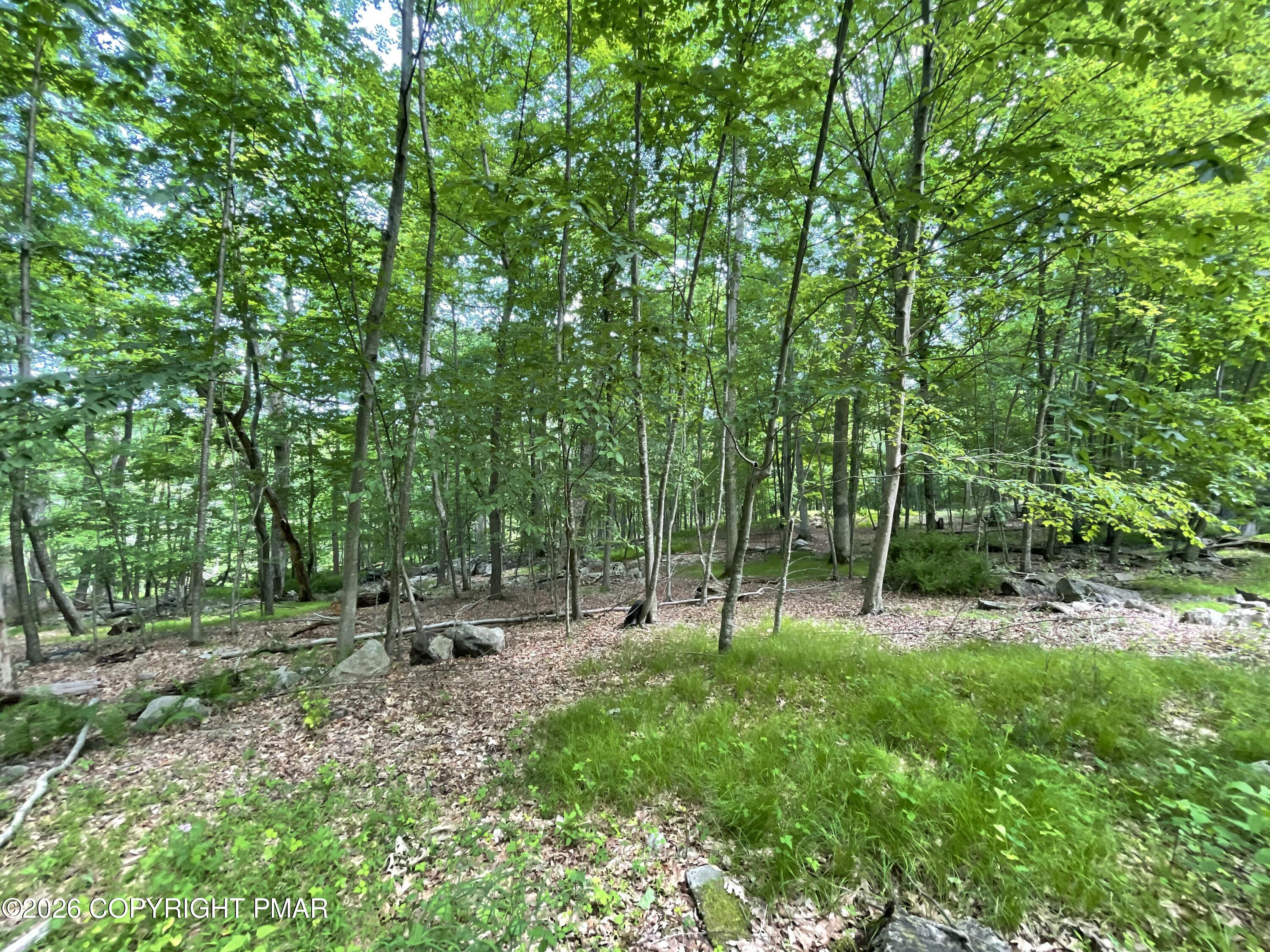 252 Mud Run Road Property Photo 4