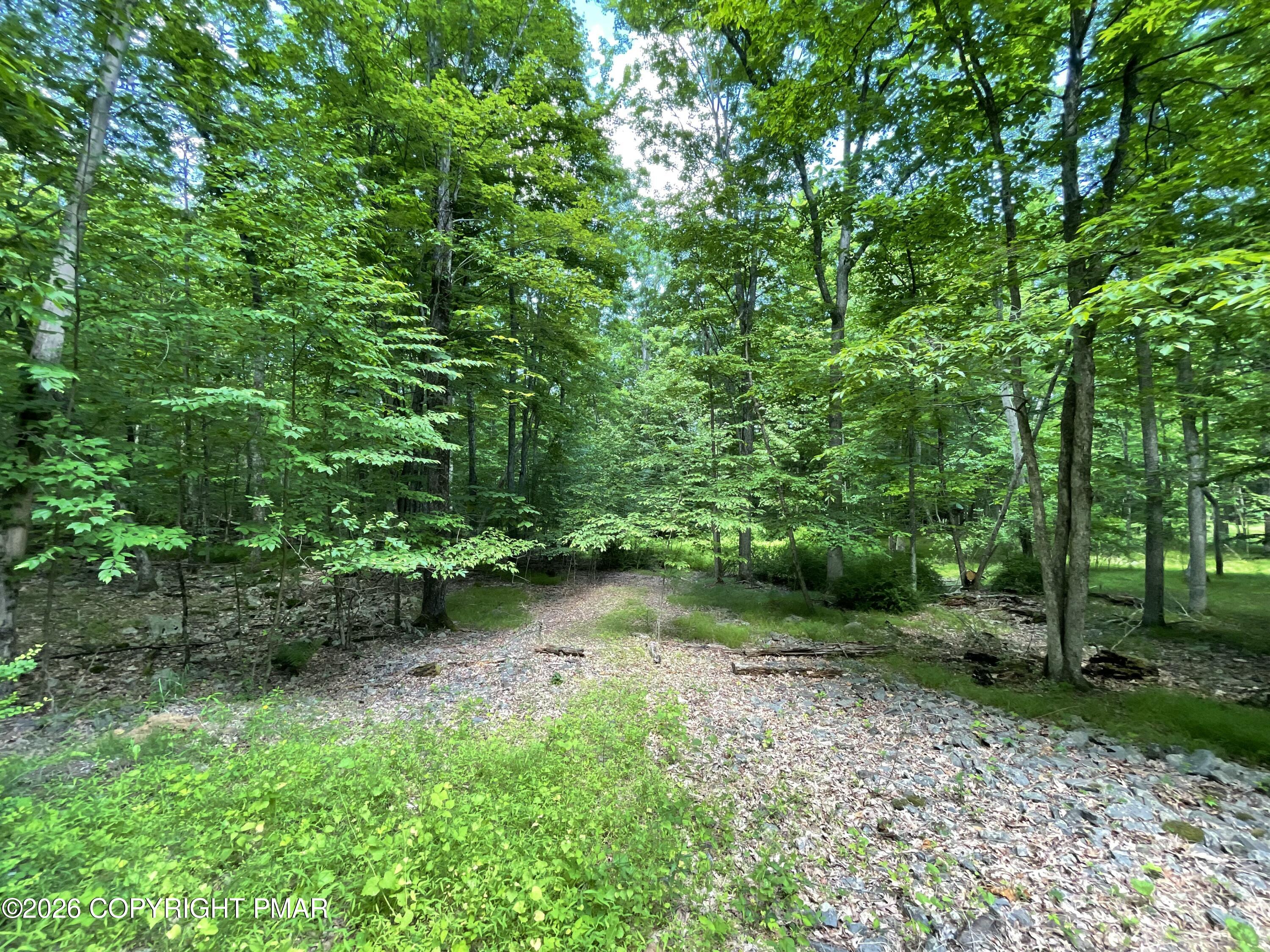 252 Mud Run Road Property Photo 5