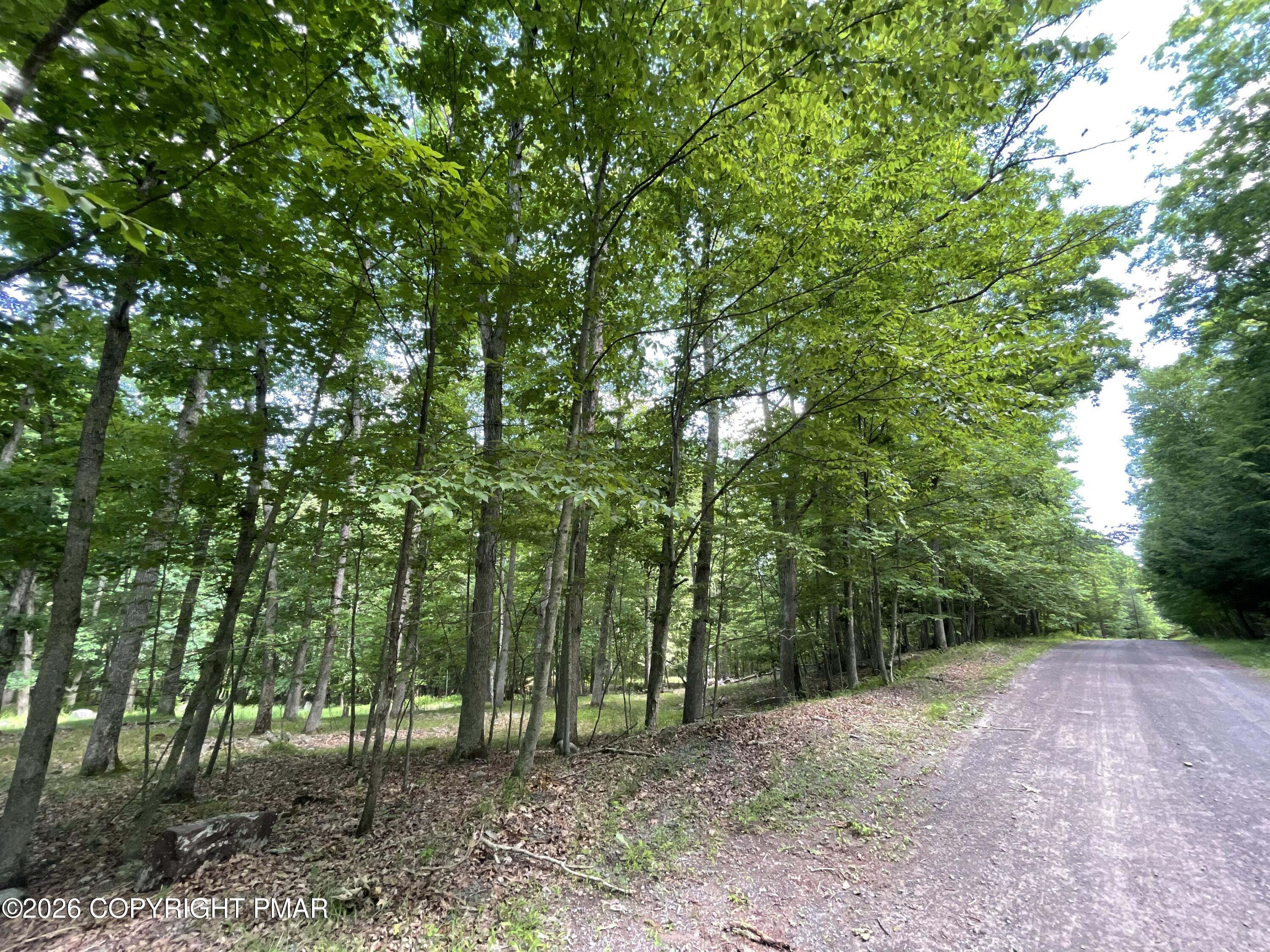 252 Mud Run Road Property Photo 6