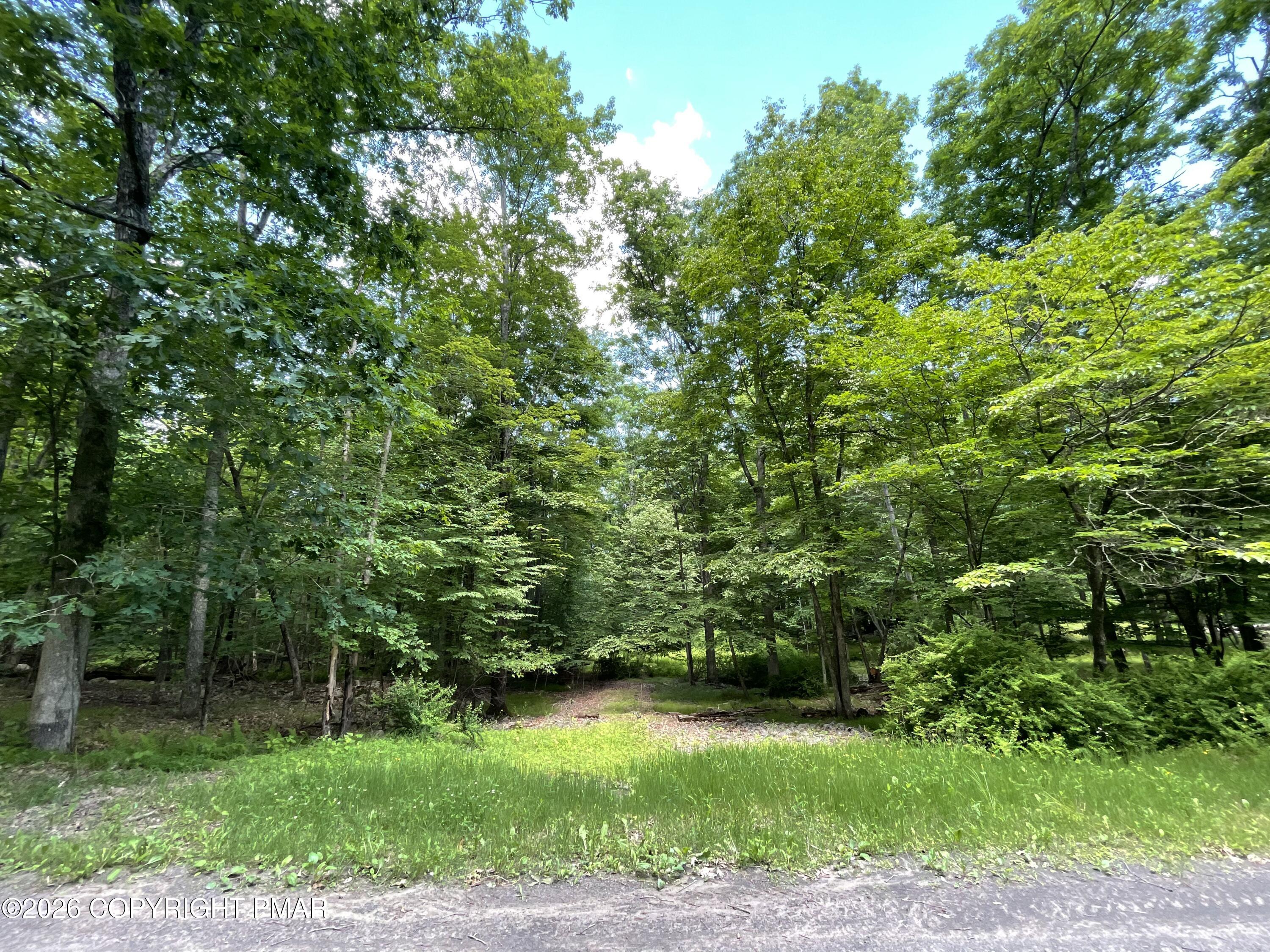 196 Stony Run Drive Property Photo 1