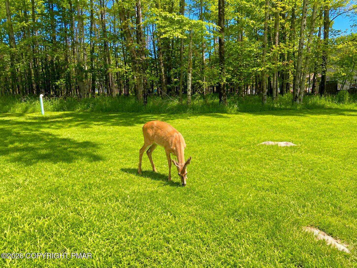 8940 Deerfield Road Property Photo 39