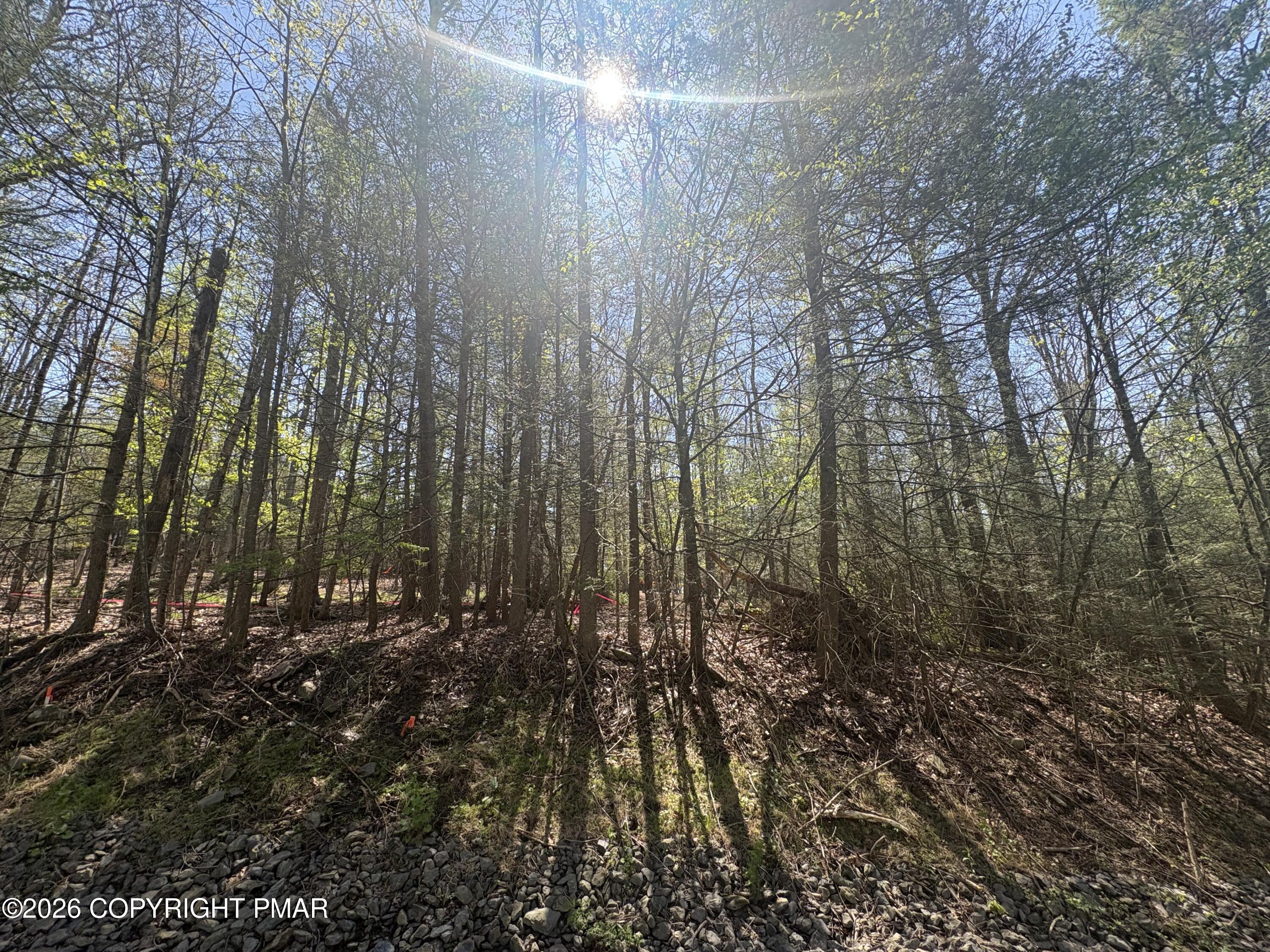 Lot 403 Williamson Drive Property Photo 3