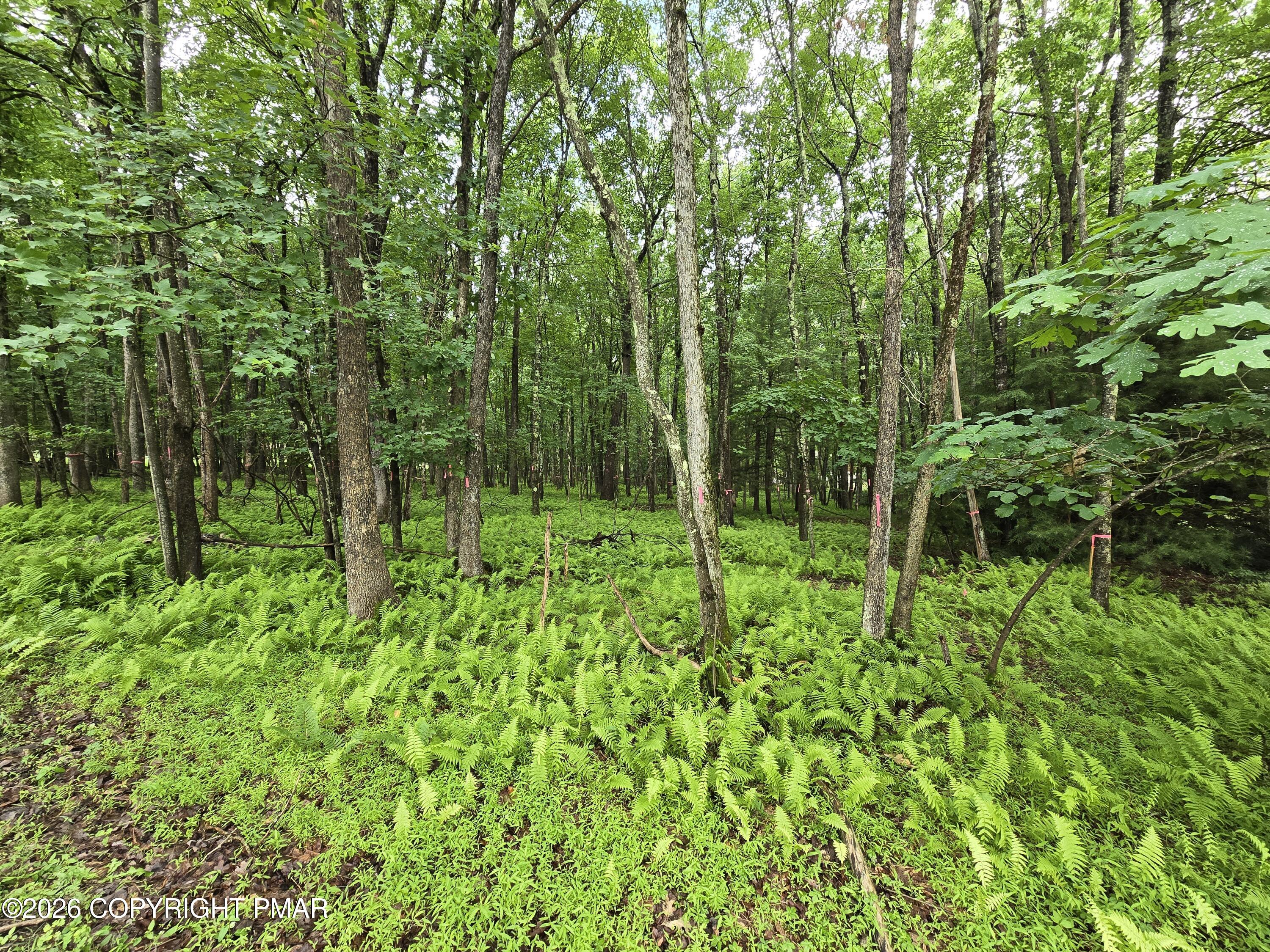 44 Poe Circle Property Photo 2