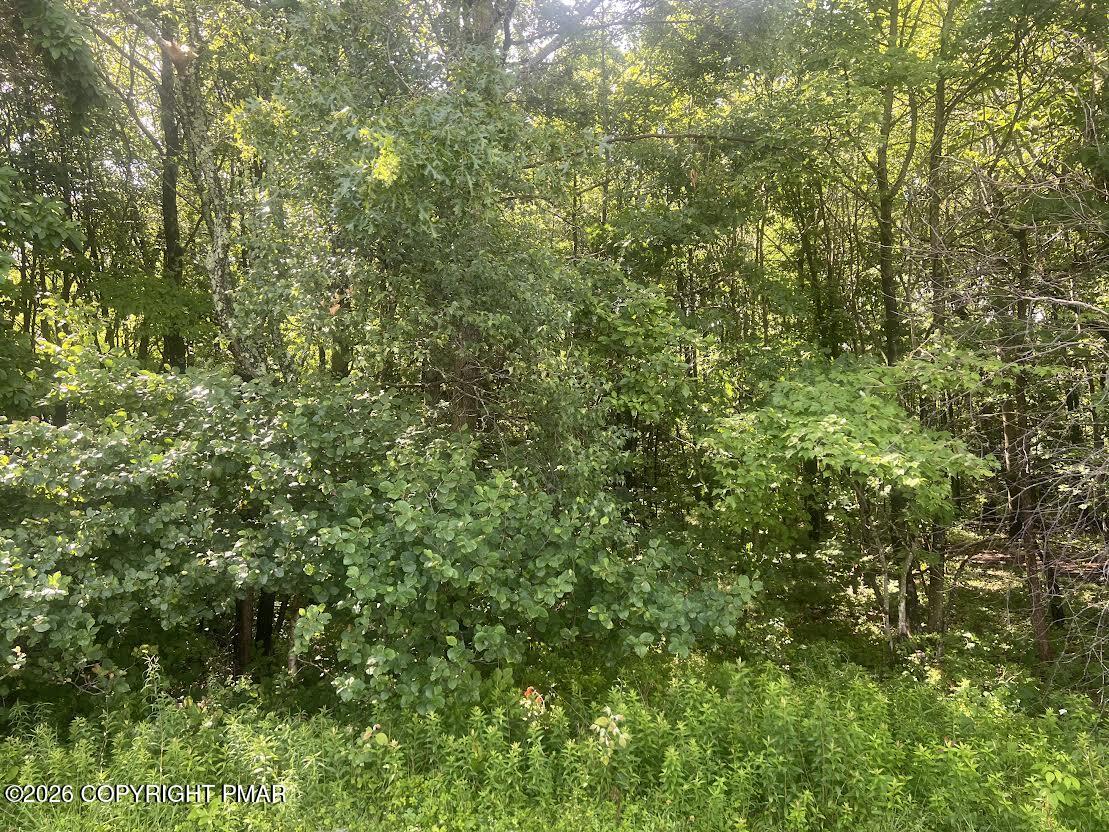 Sylvester Dr 303 Drive Property Photo 1