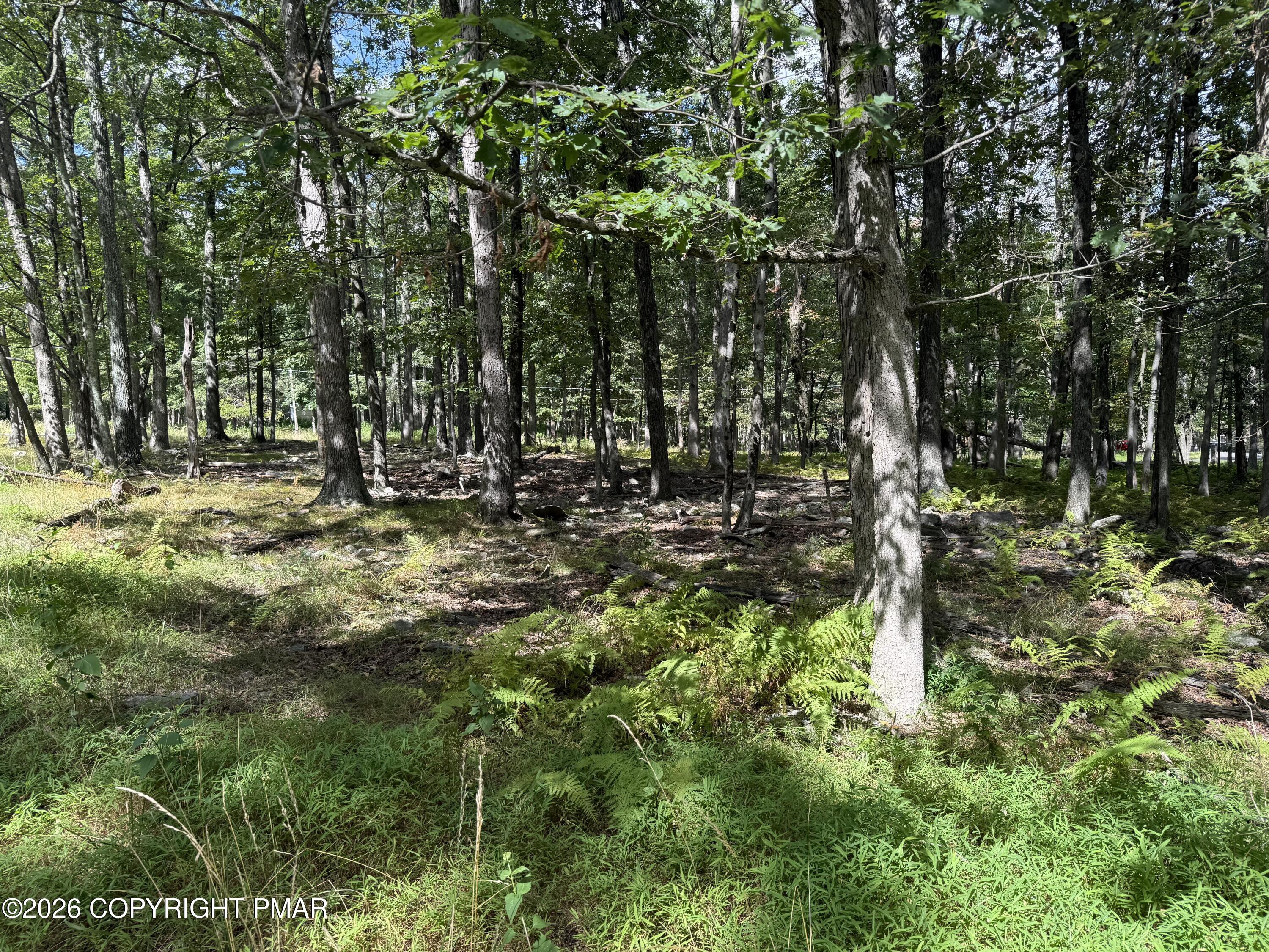 1410 Mohawk Trail Property Photo 1