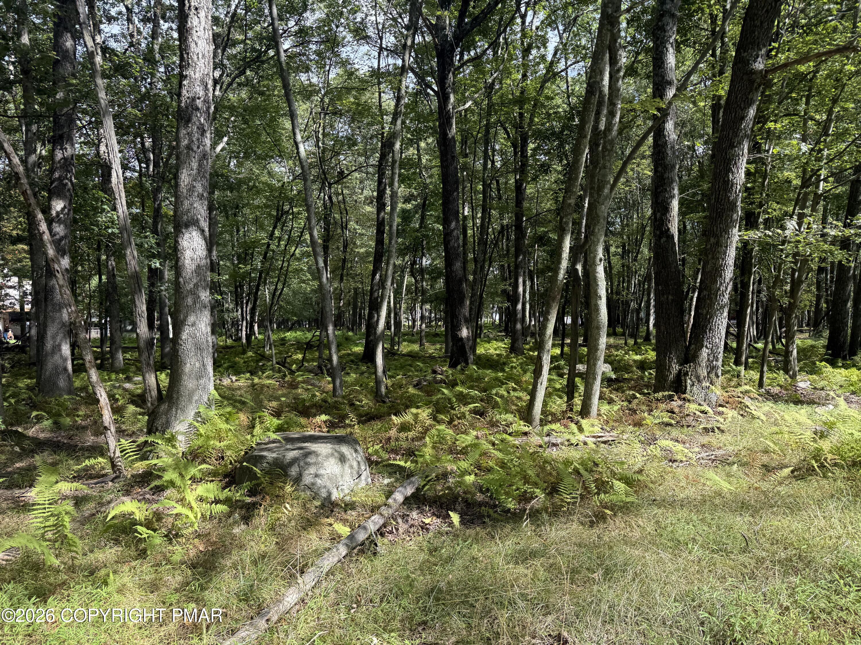 1410 Mohawk Trail Property Photo 4