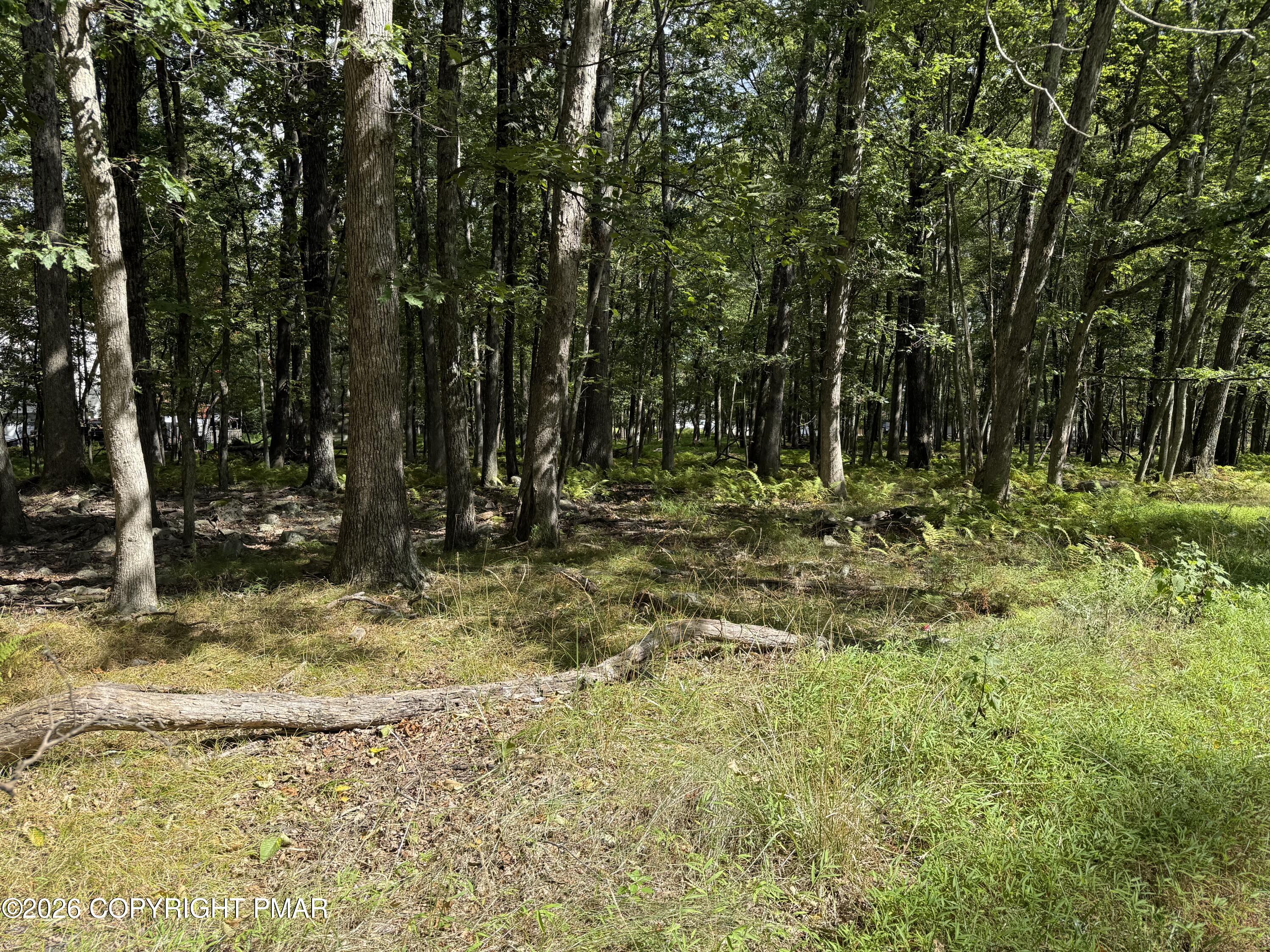 1410 Mohawk Trail Property Photo 5