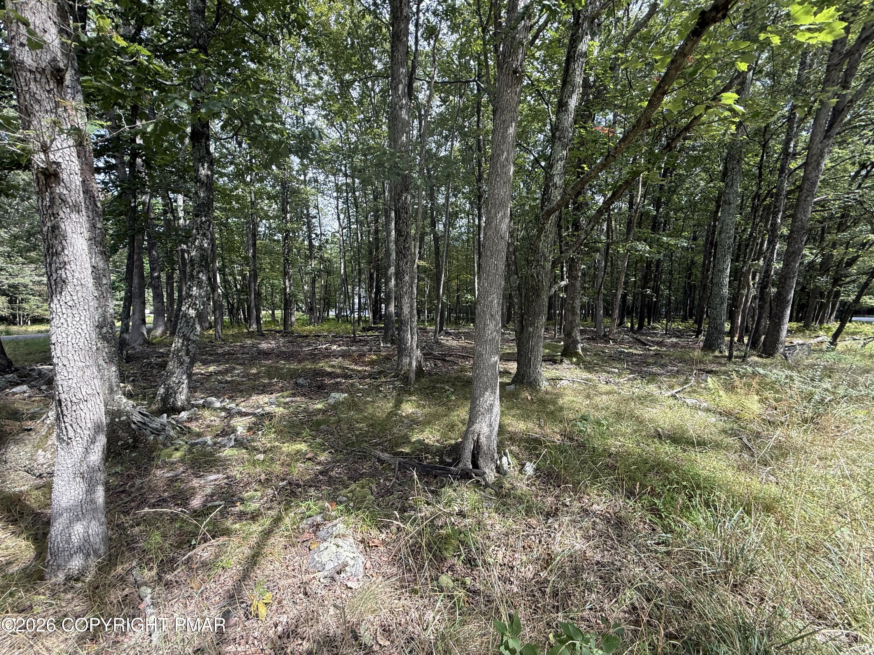 1410 Mohawk Trail Property Photo 6