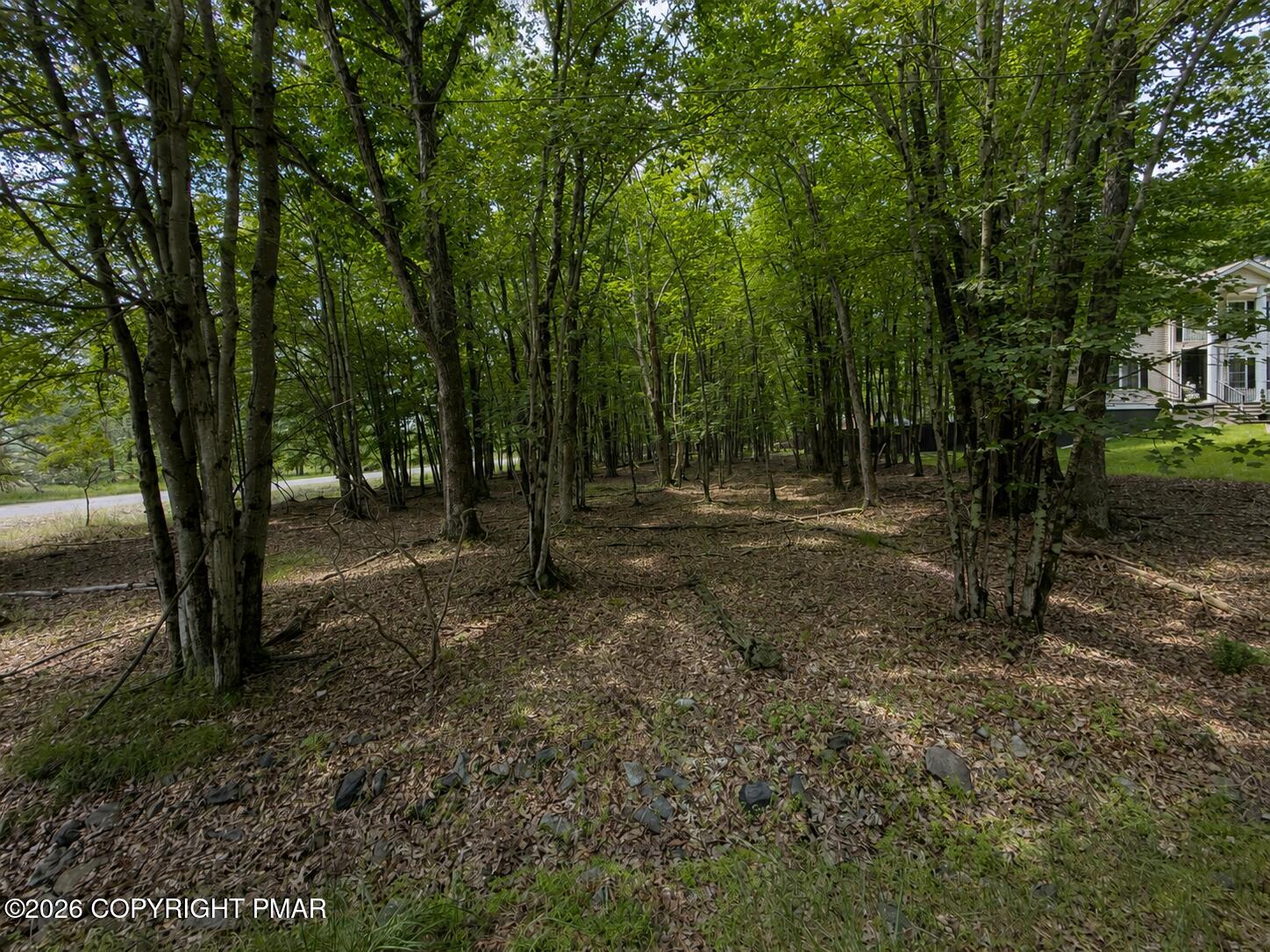 Antler Trail Lot 421 Property Photo 1