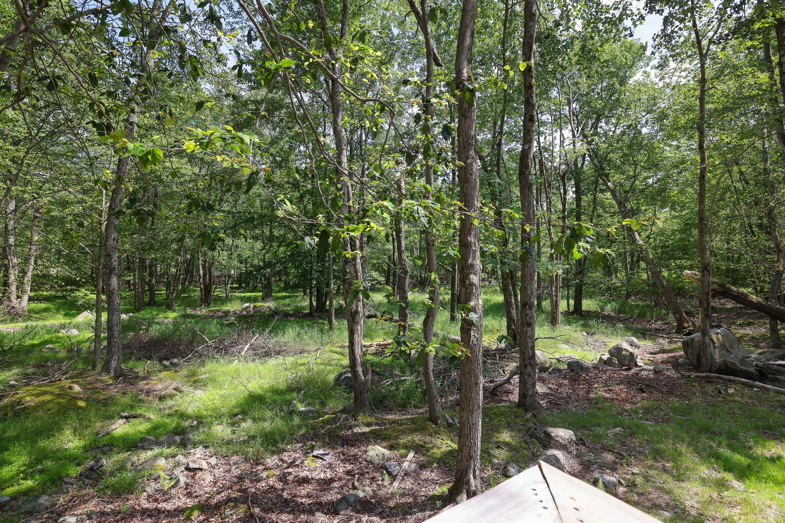 7042 Vista Drive Property Photo 37