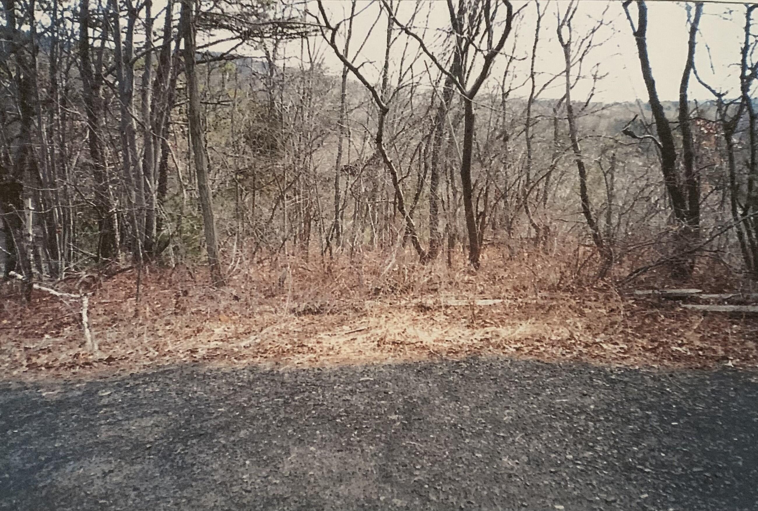 88 Beaver Lane Property Photo 1