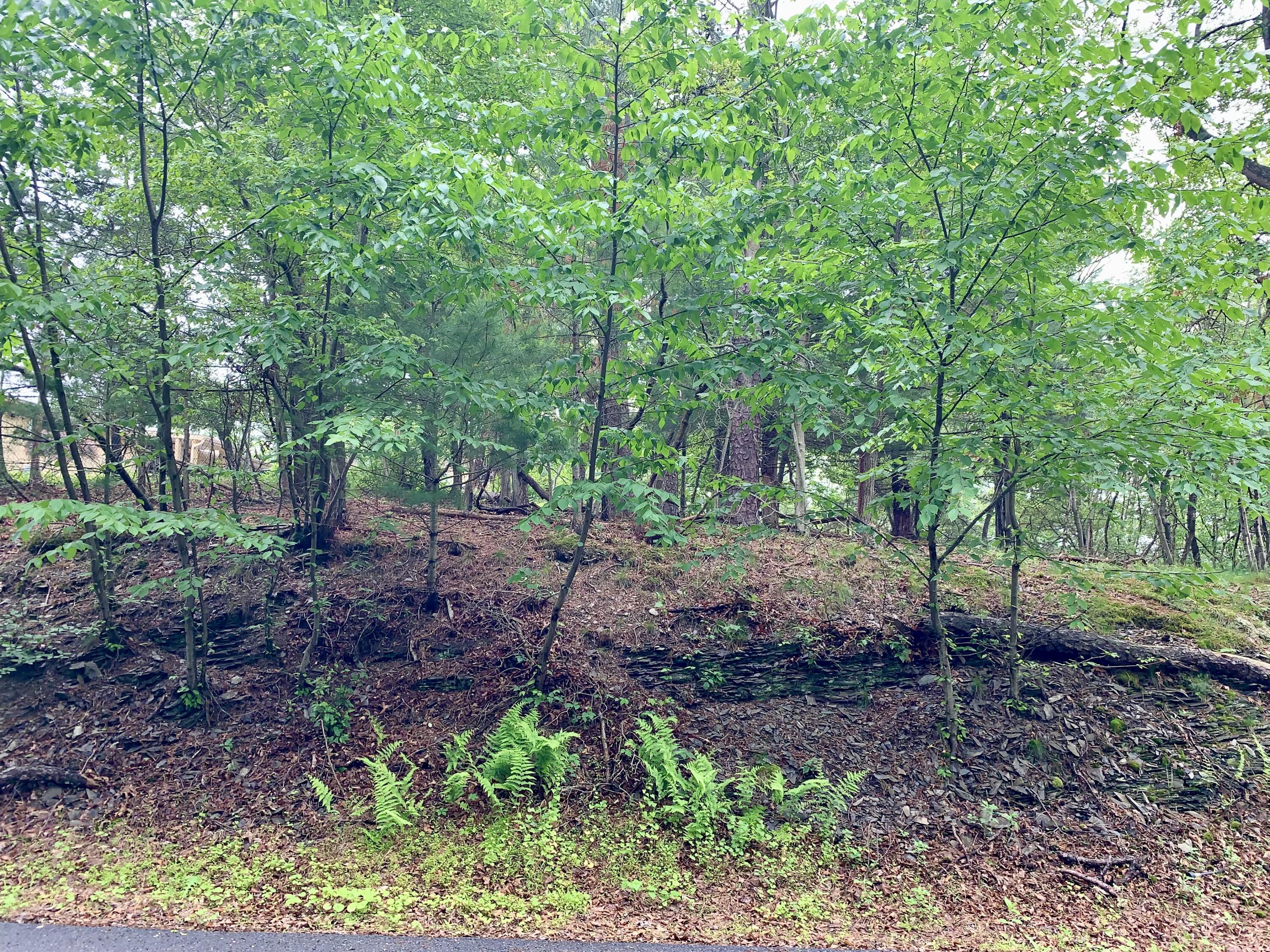 88 Beaver Lane Property Photo 2