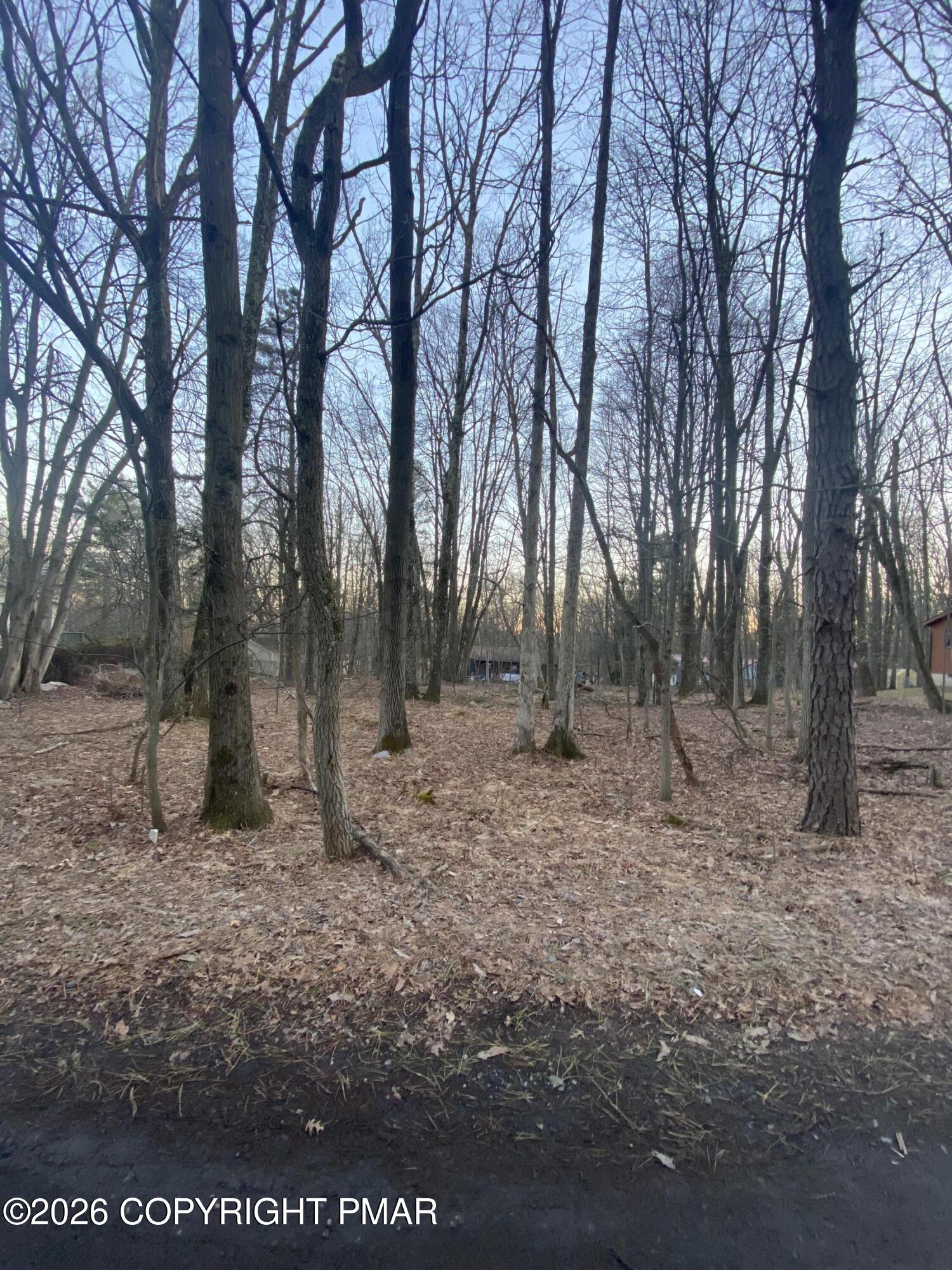 383 Johns Road Property Photo 2