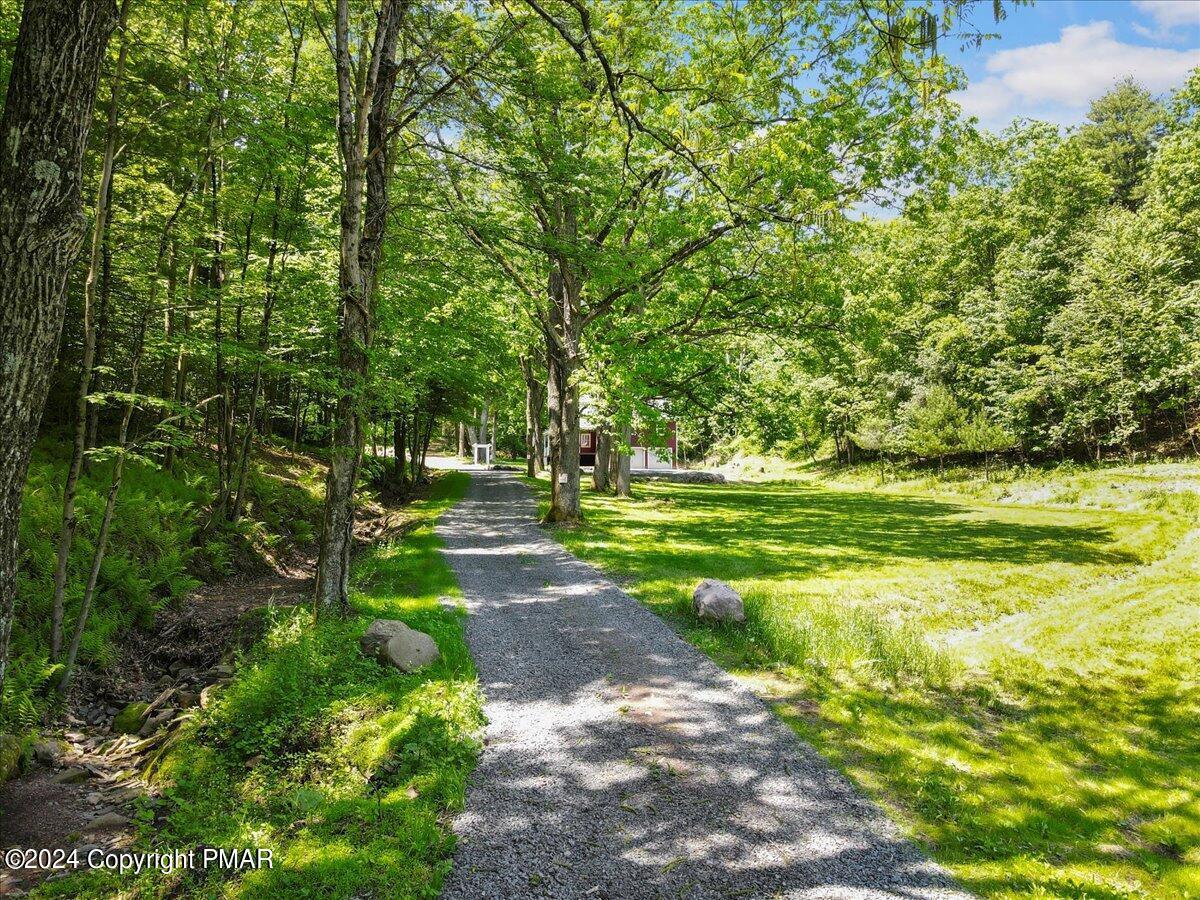 333 Merwinsburg Road Property Photo 6
