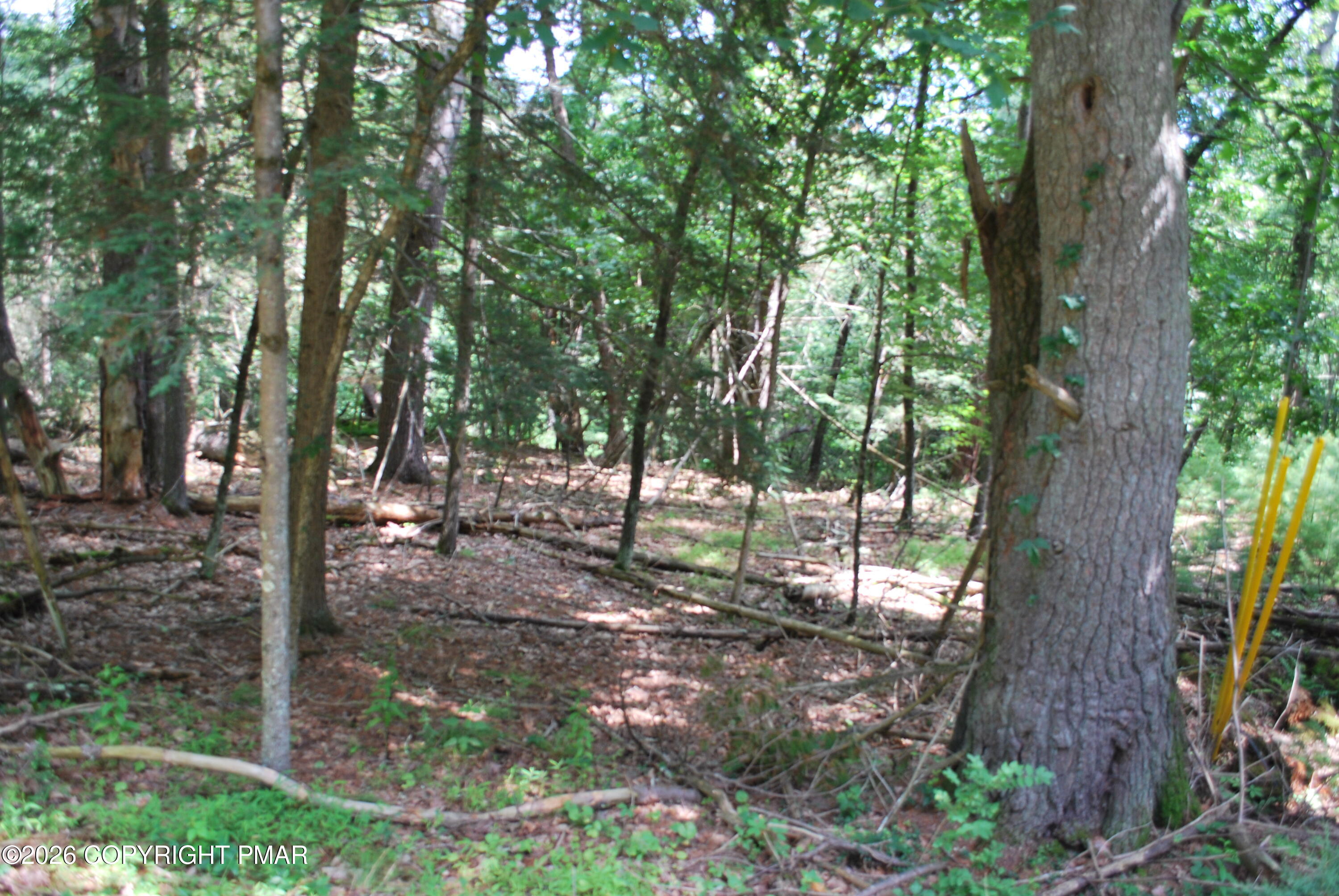 Lot 54 Stony Hollow Circle Property Photo 2