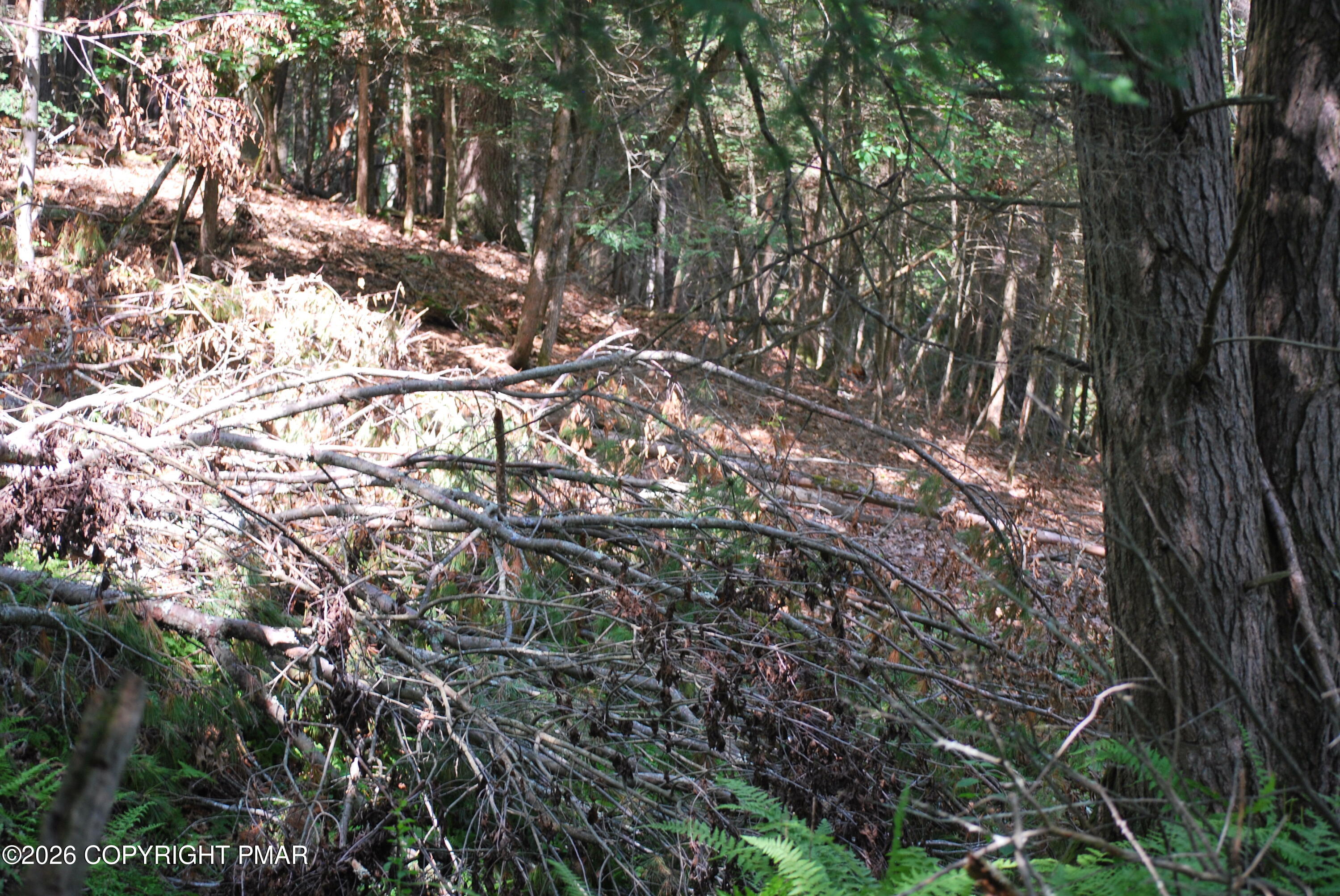 Lot 54 Stony Hollow Circle Property Photo 5