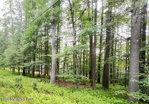 Lot 359 Tink Wig Drive Property Photo 7