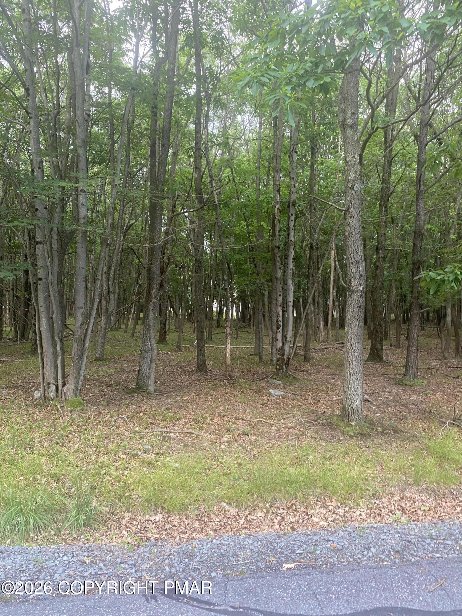 Lot 359 Tink Wig Drive Property Photo 12