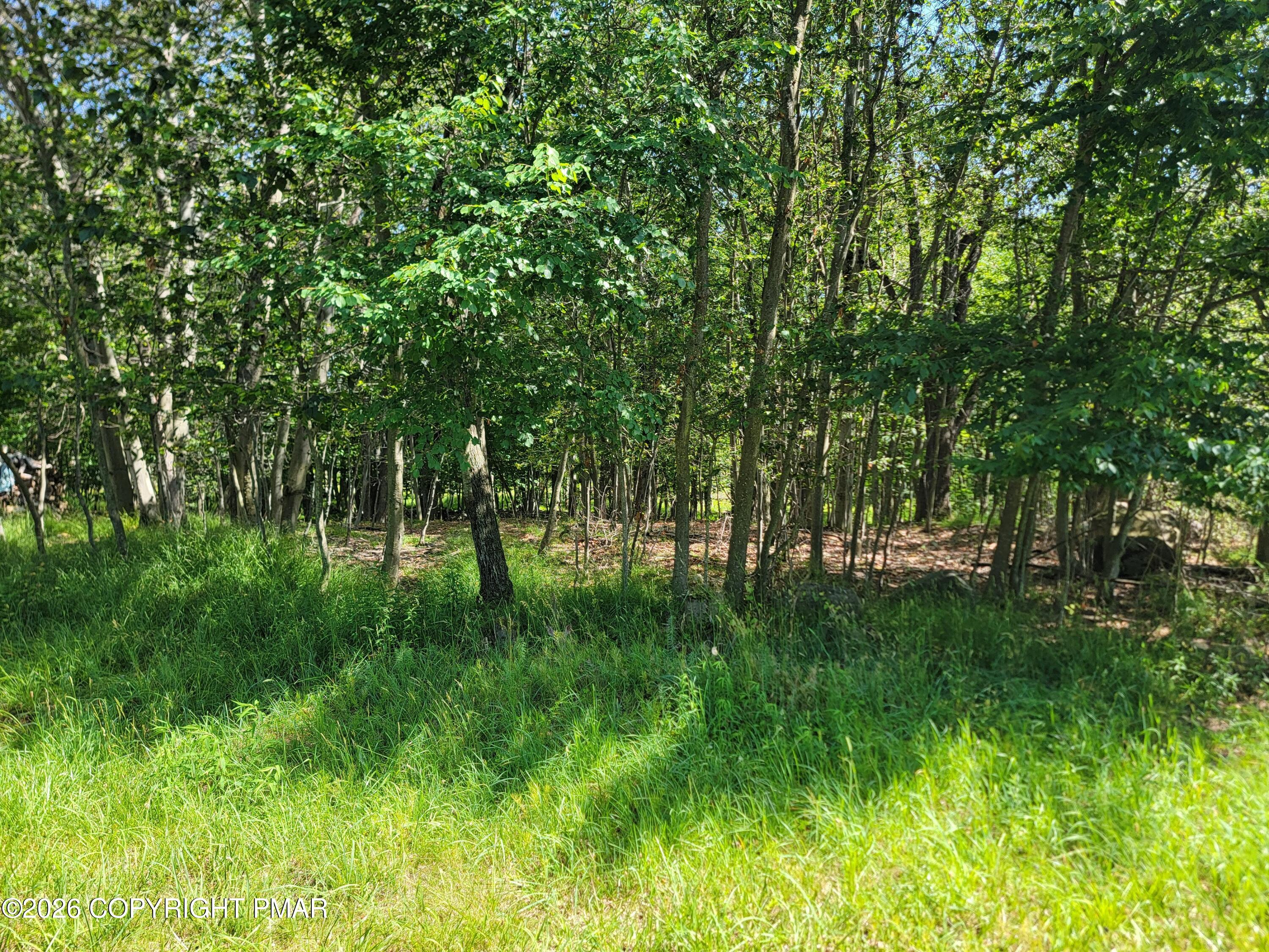 424 Bumble Bee Way Property Photo 4
