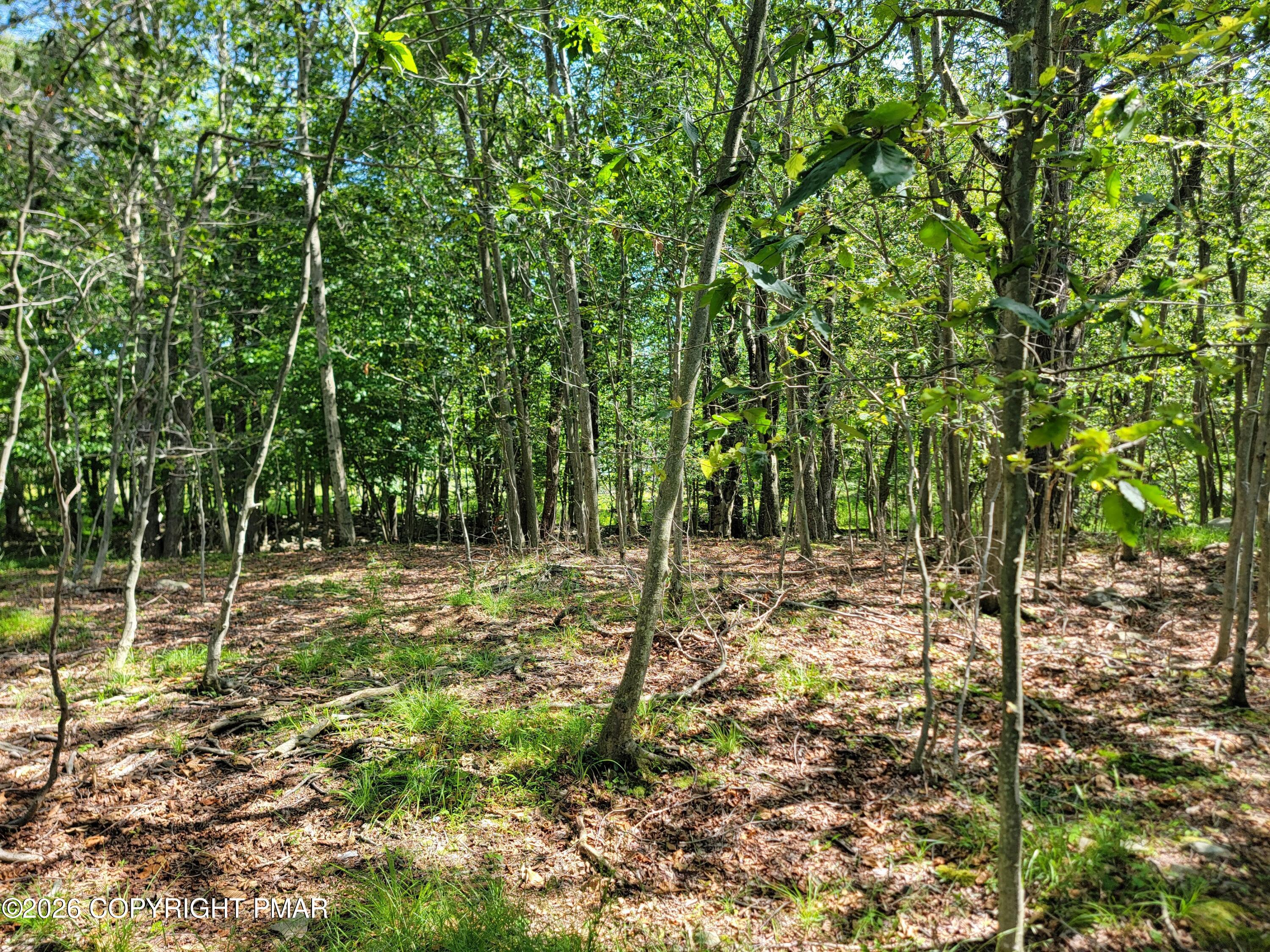 424 Bumble Bee Way Property Photo 5