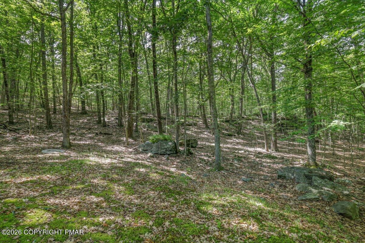 158 Saunders Drive Property Photo 44