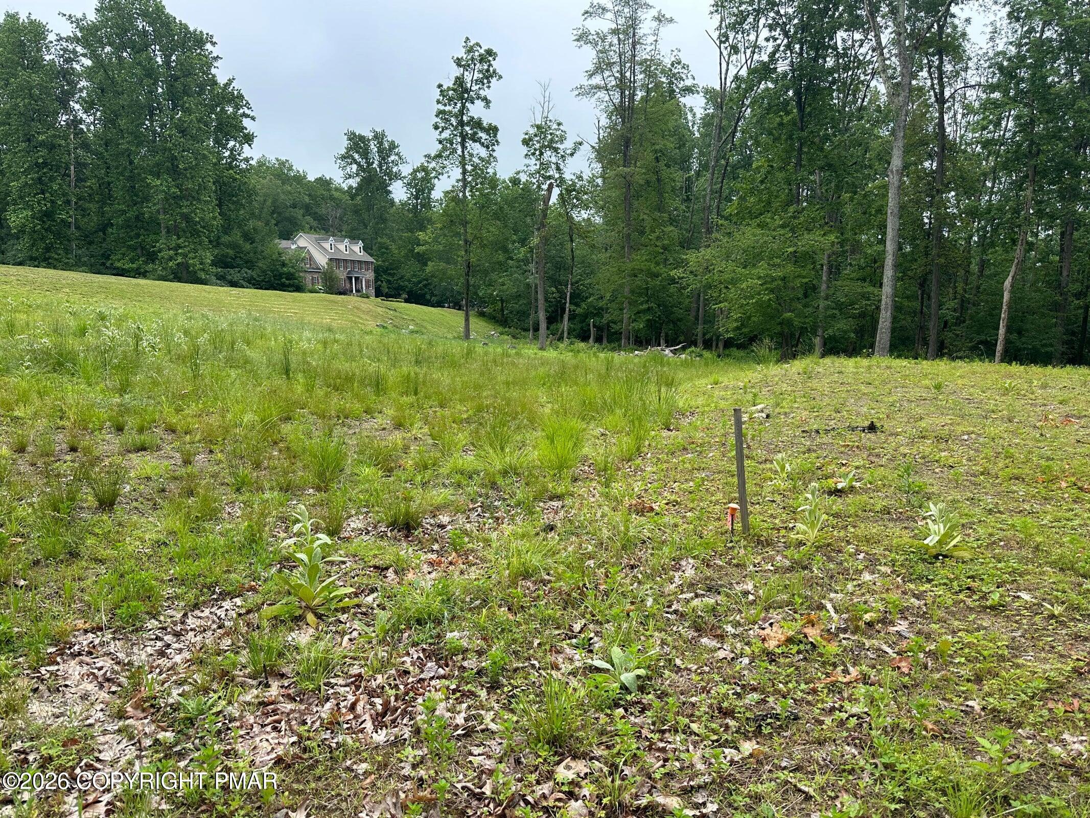 183 Saddle Creek Drive Property Photo 6