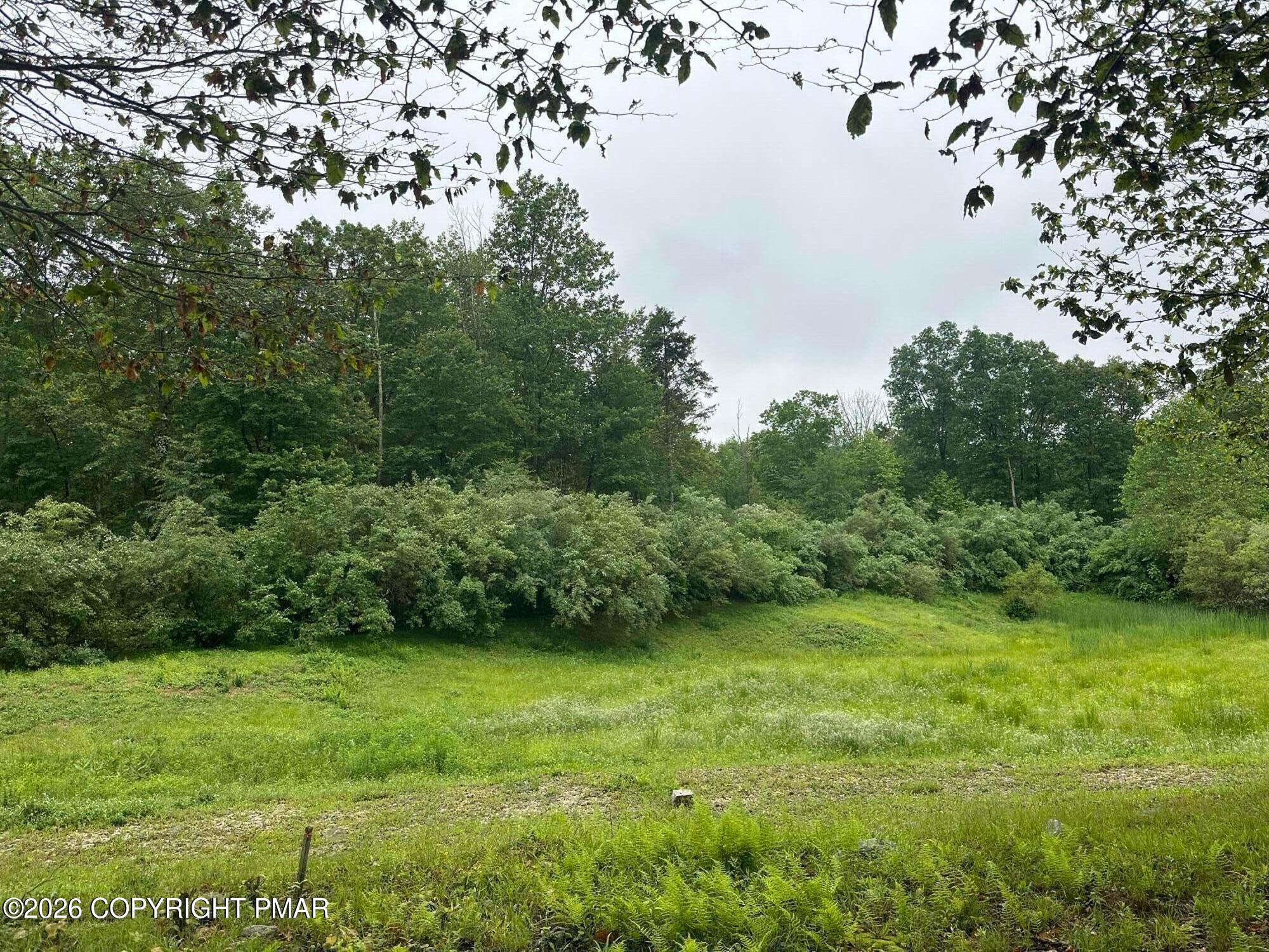183 Saddle Creek Drive Property Photo 7