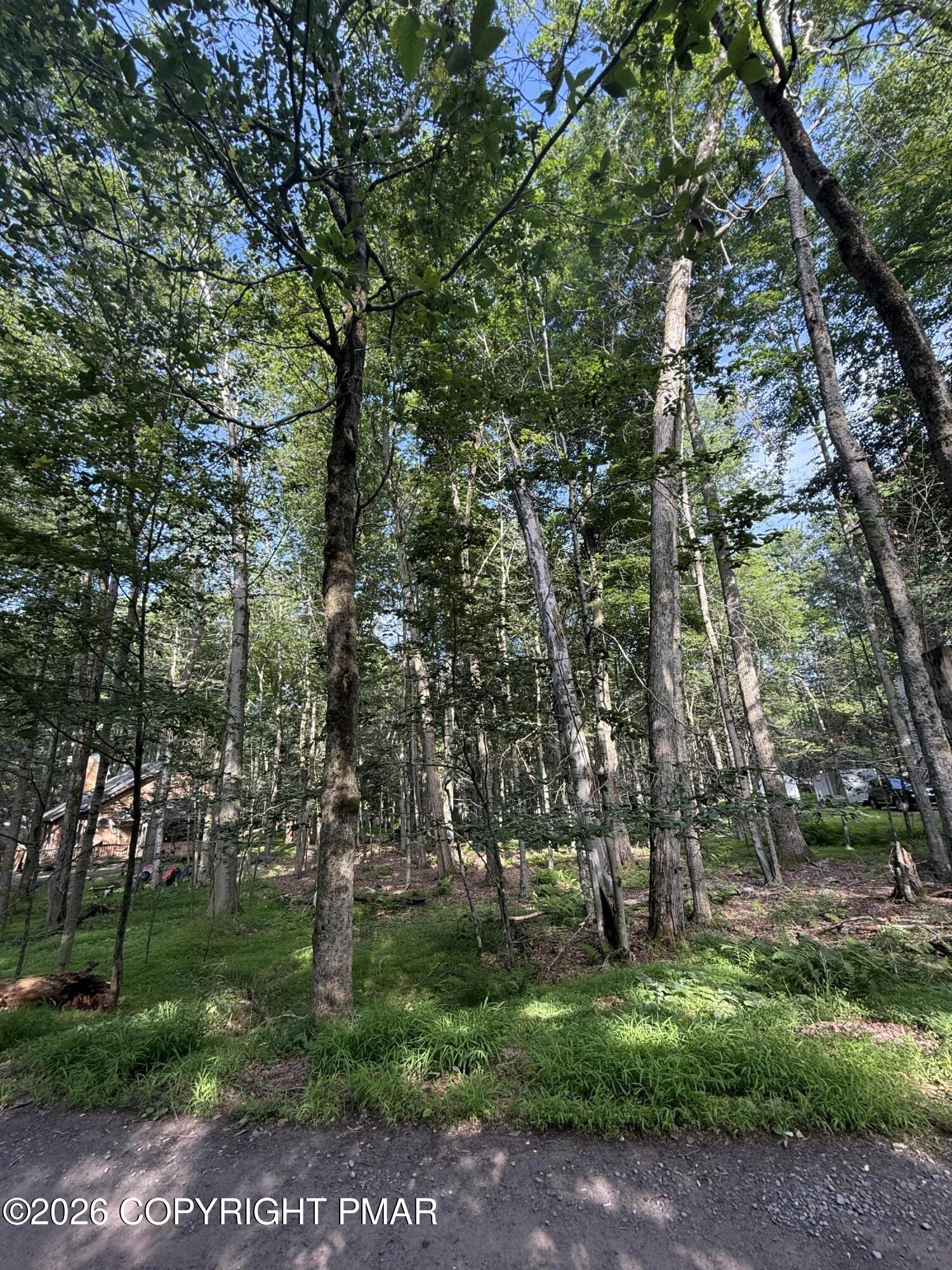 169 (#1205) Beech Lane Property Photo 10