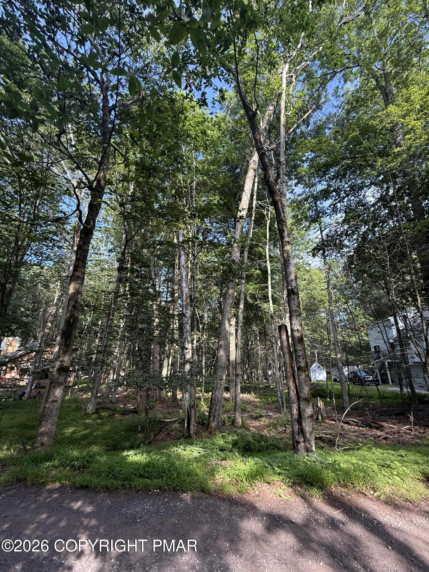 169 (#1205) Beech Lane Property Photo 11
