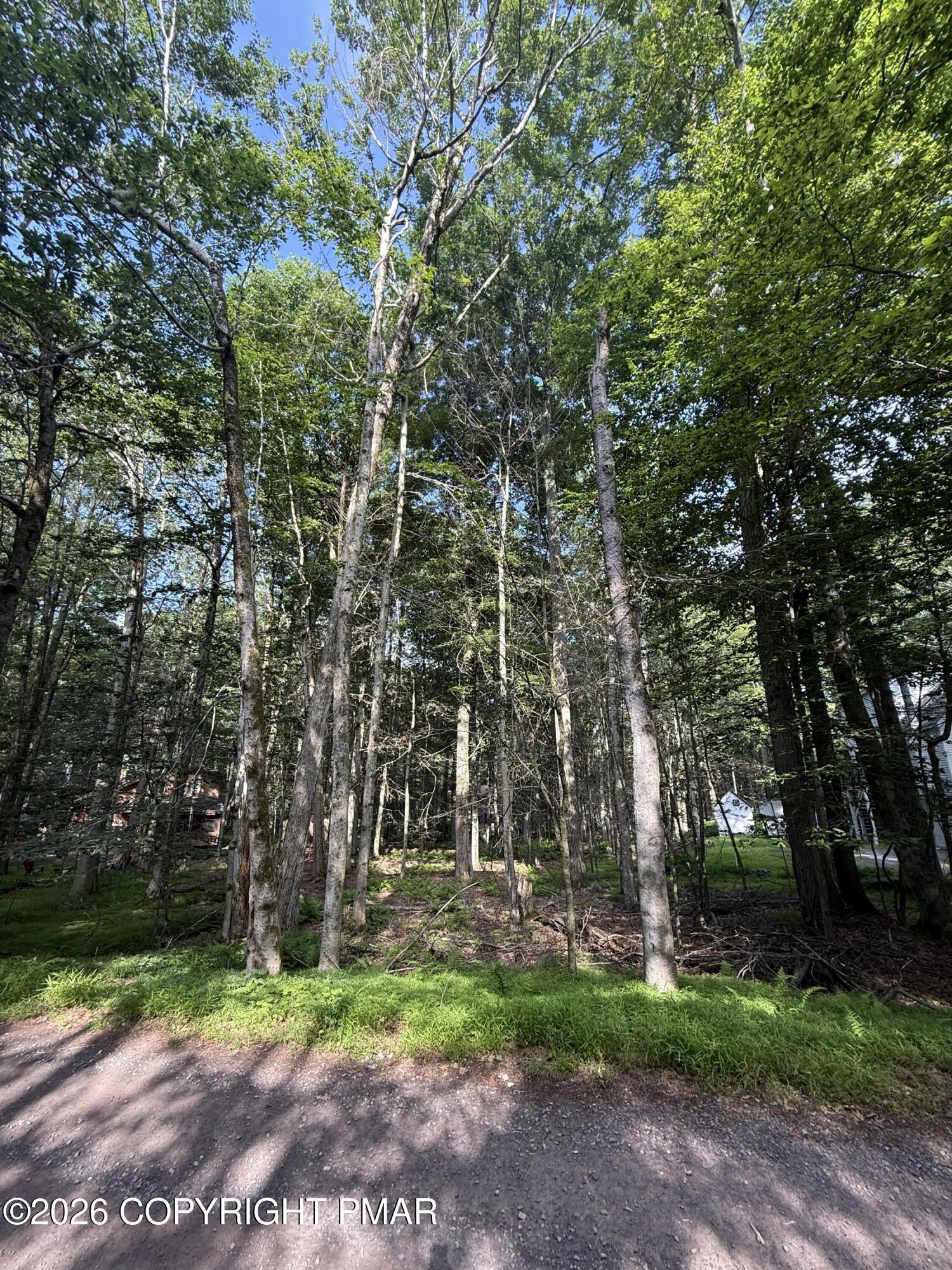 169 (#1205) Beech Lane Property Photo 12