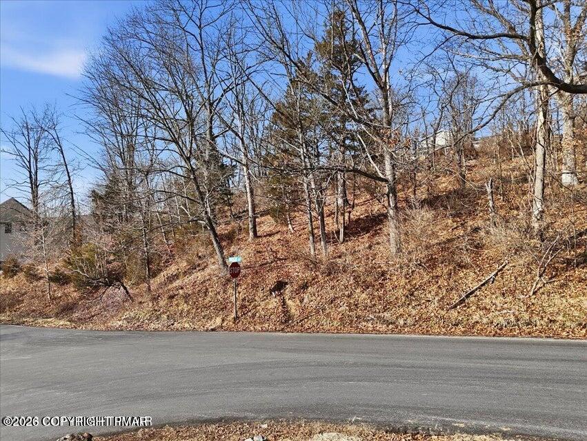 520 Edgemont Road Property Photo 4