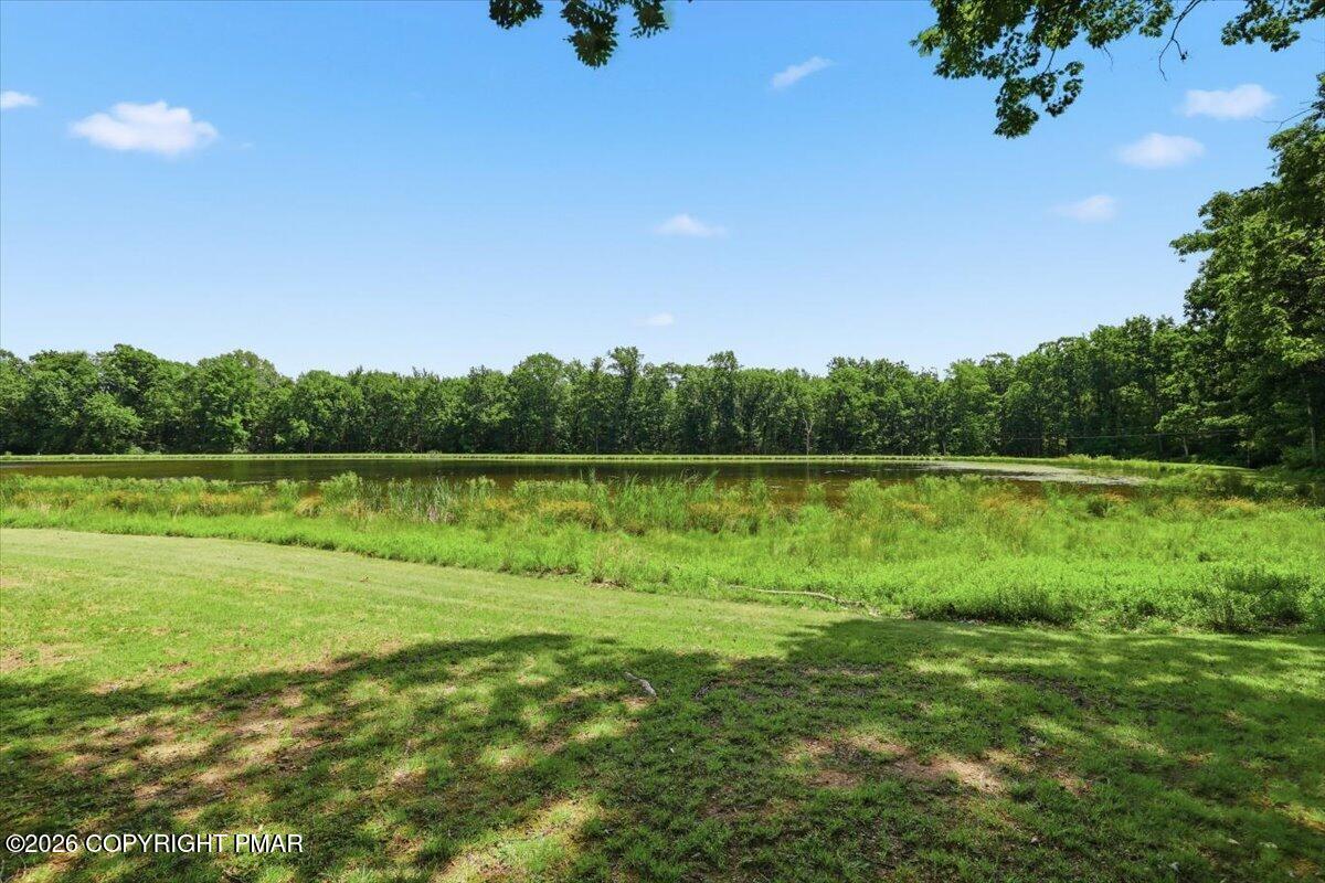 4203 Forest Drive Property Photo 47